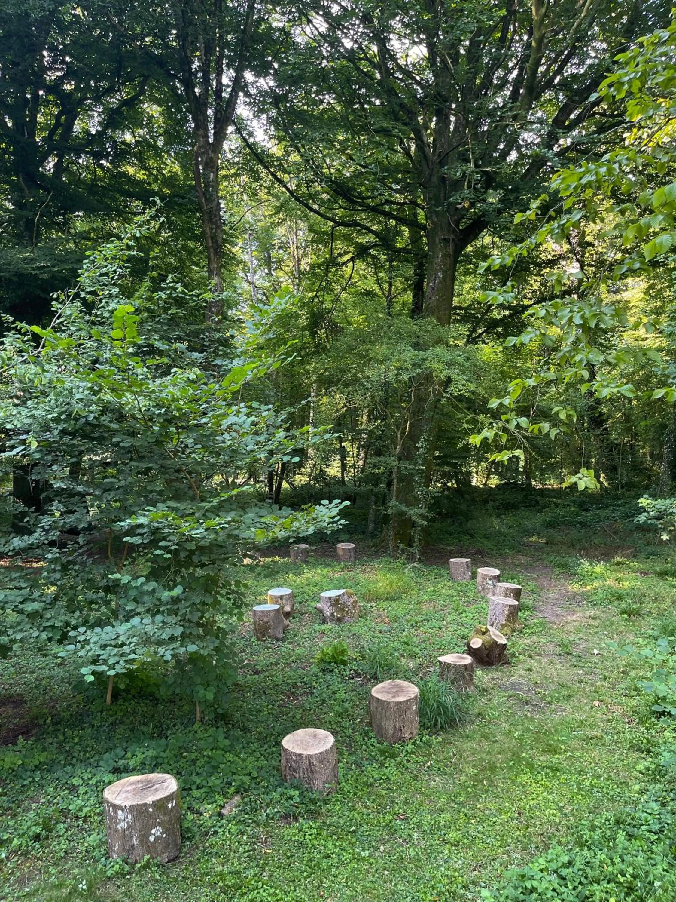 Natural landscape in Domaine de Fresnoy