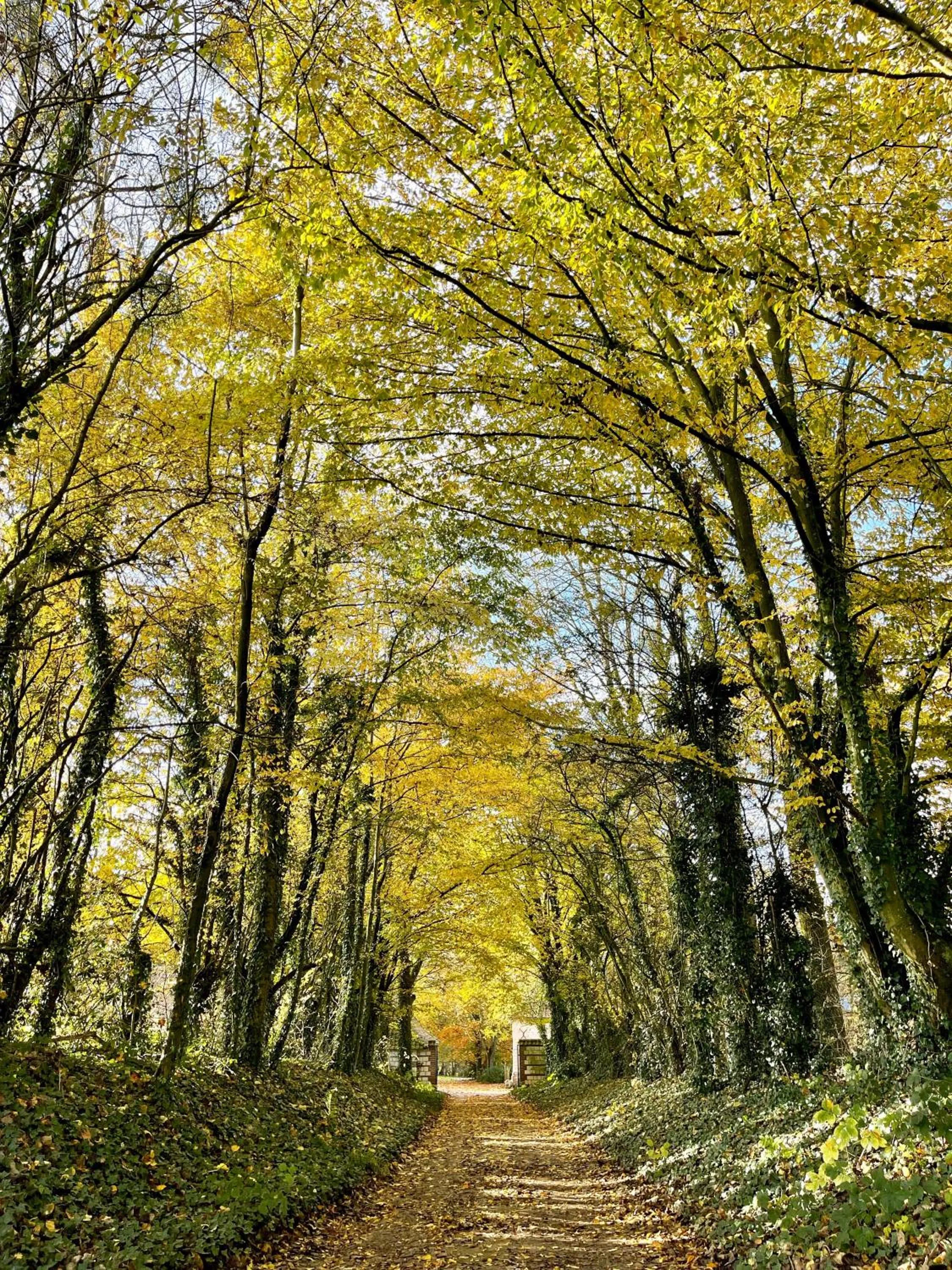Natural landscape in Domaine de Fresnoy