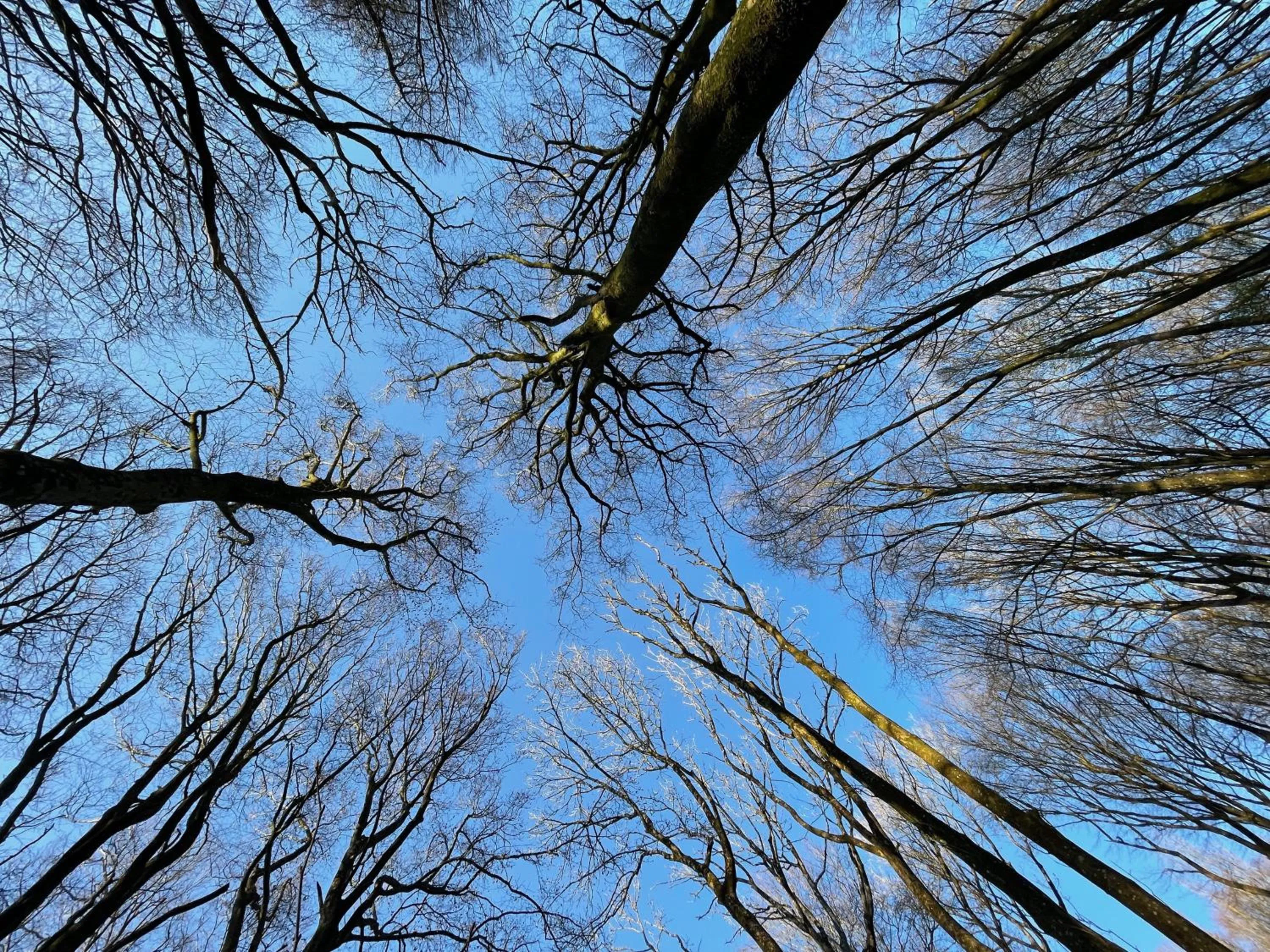 Property building in Domaine de Fresnoy