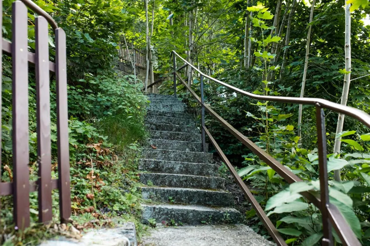 Natural landscape in Willa JODŁA Wisła