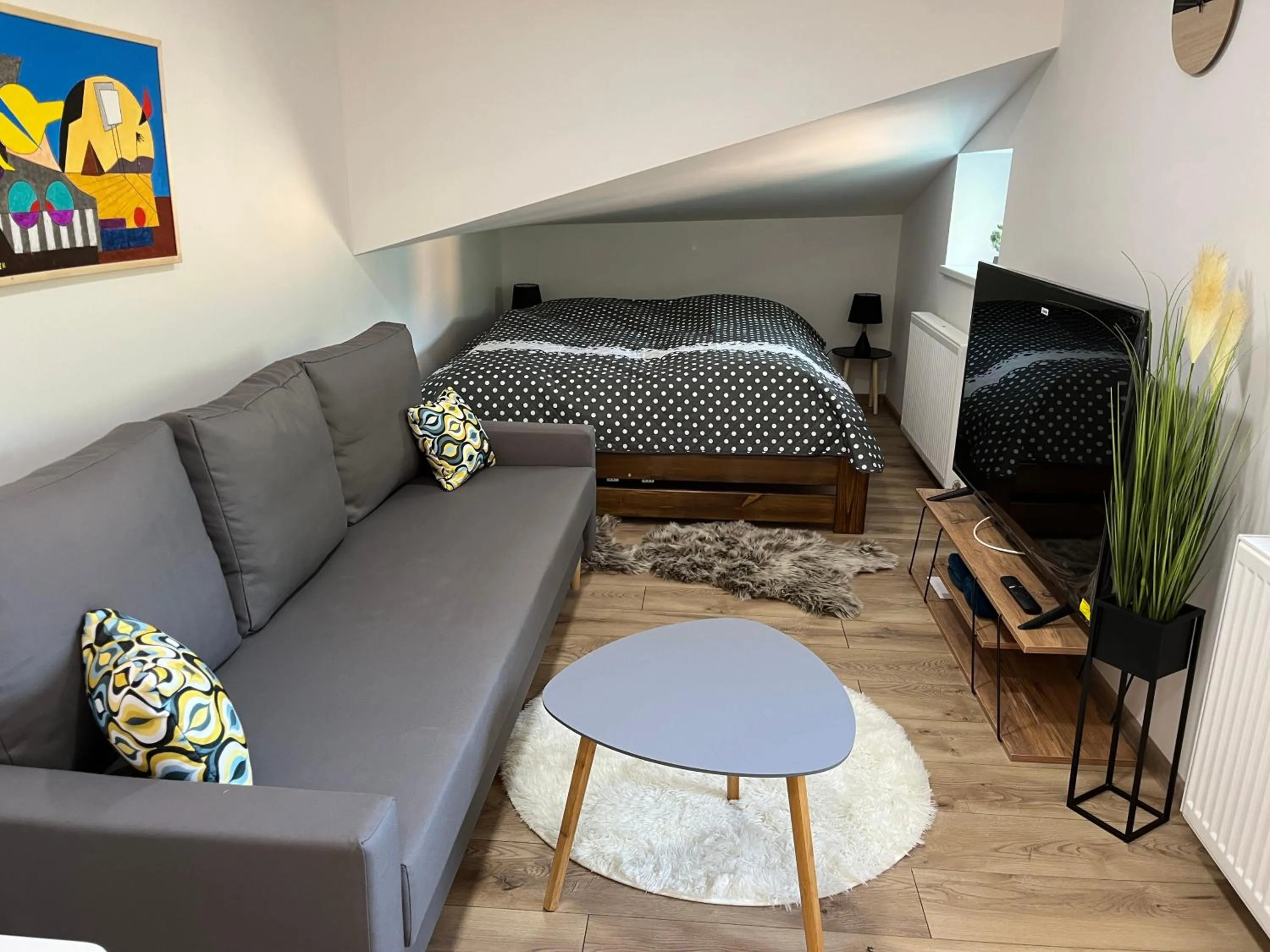 Studio - Split Level in Apartments Badallee 4