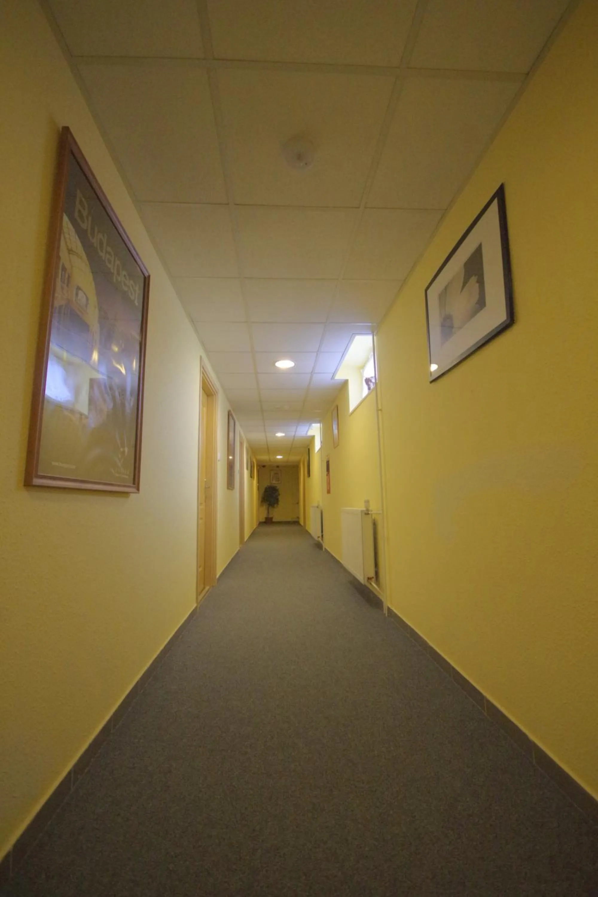 Decorative detail in Hotel Vadászkürt Superior