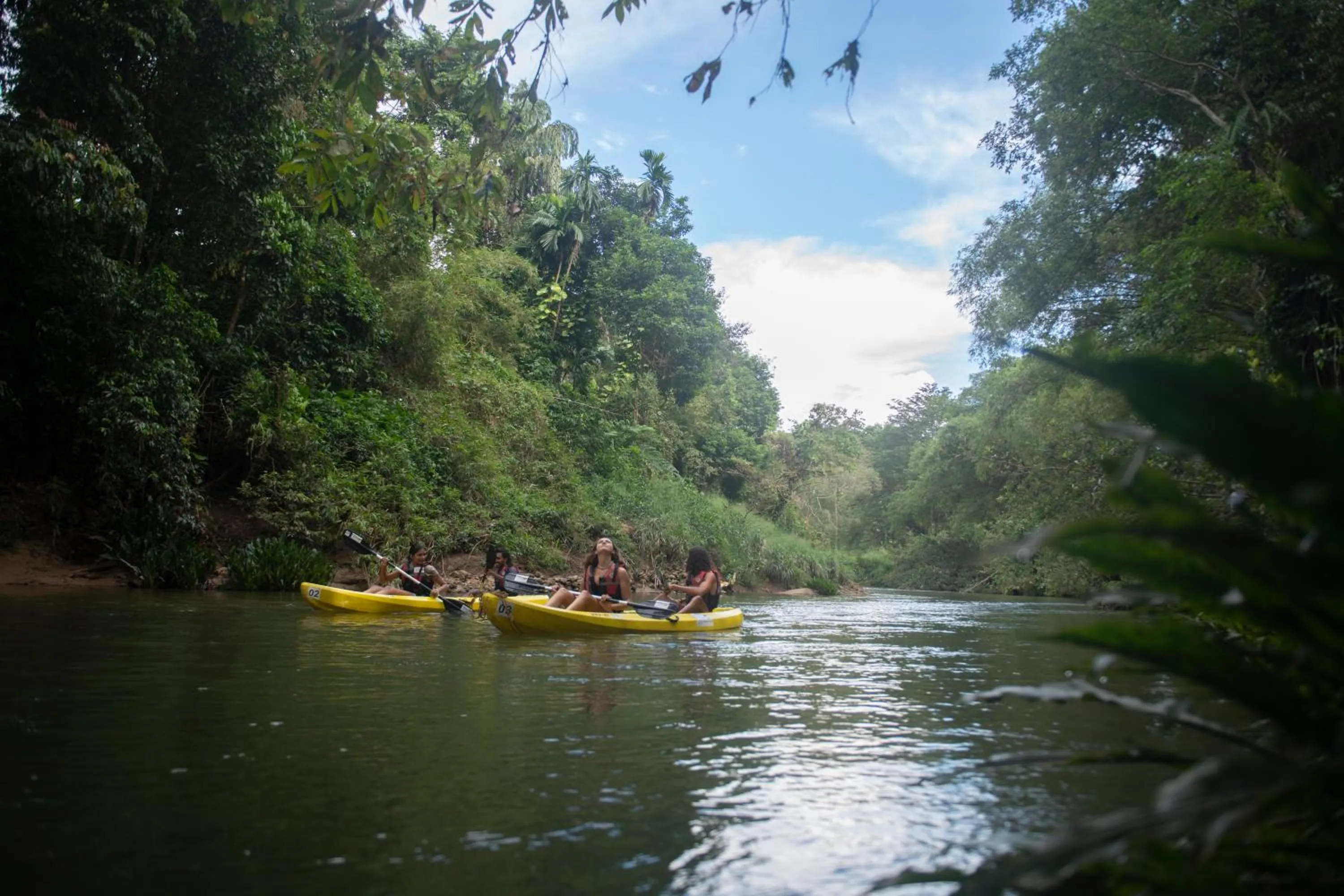 Activities in Gileemale Walawwa & Estate