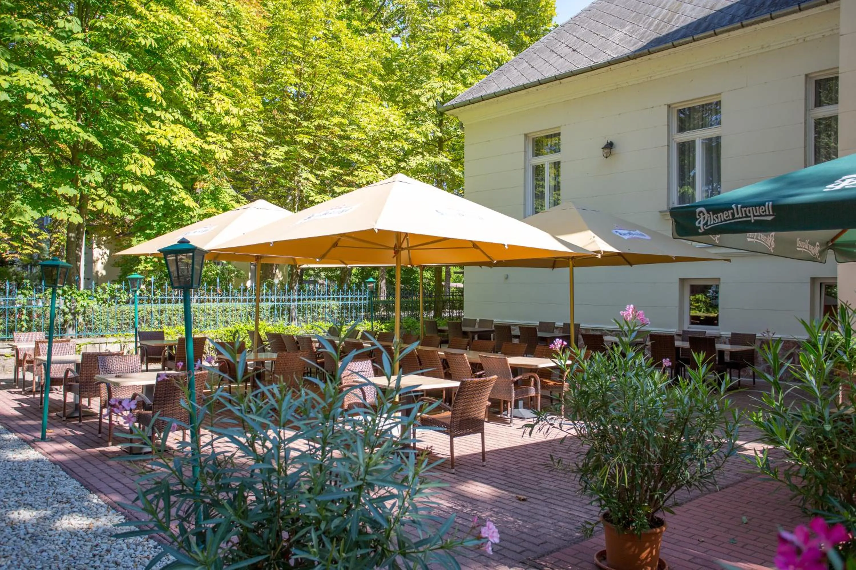 Restaurant/places to eat in Főnix Hotel