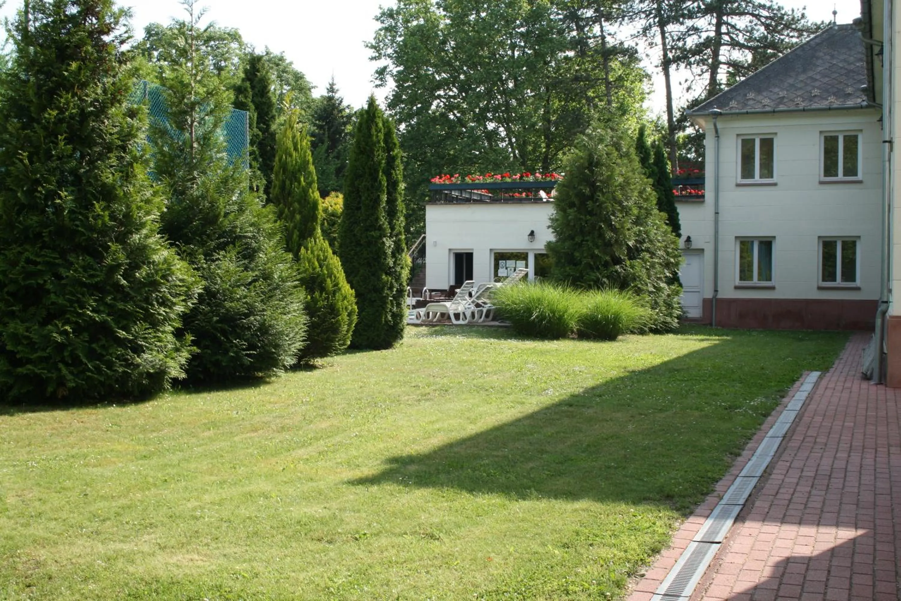 Garden in Főnix Hotel