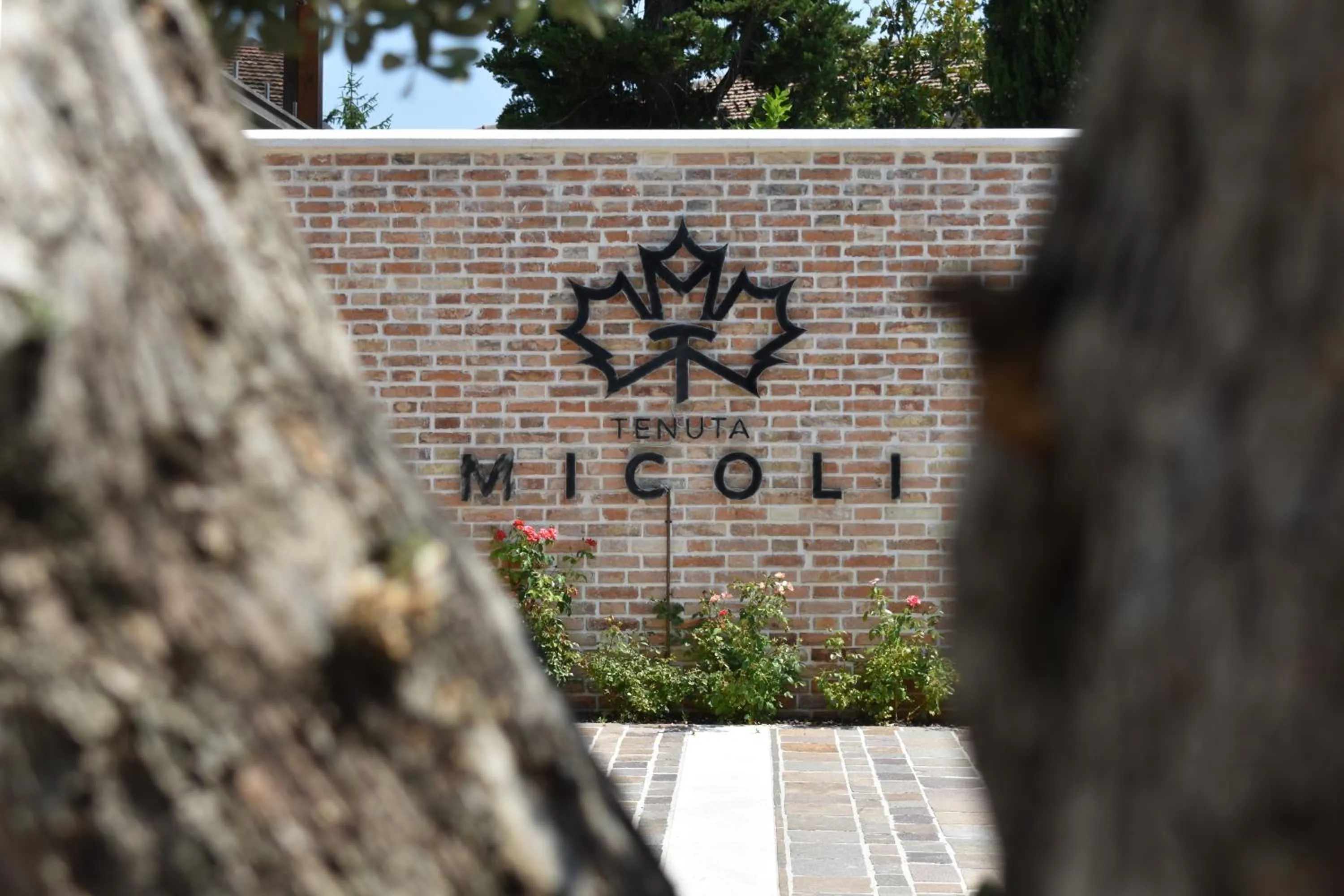 Property logo or sign in Tenuta Micoli
