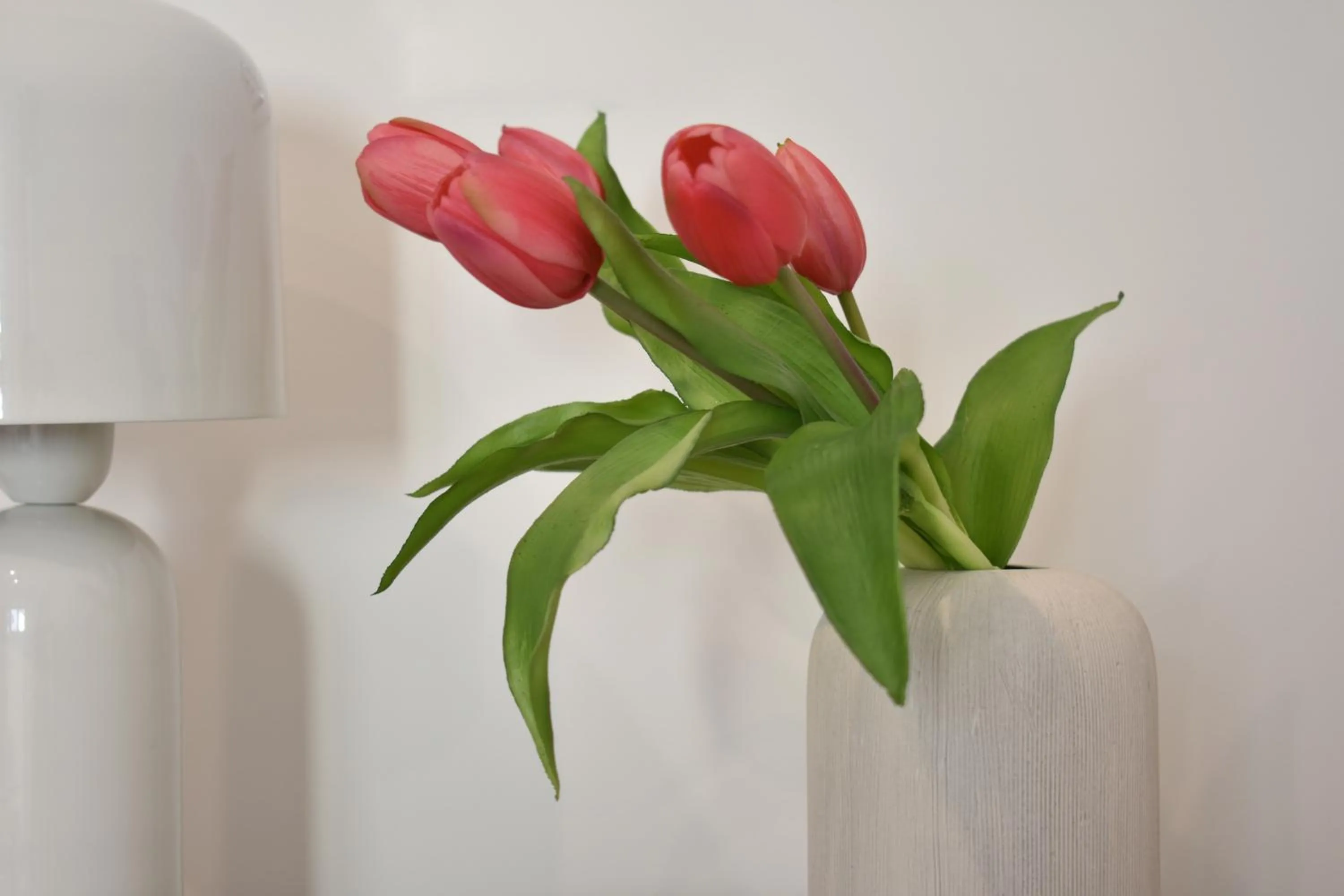 Photo of the whole room in Tenuta Micoli