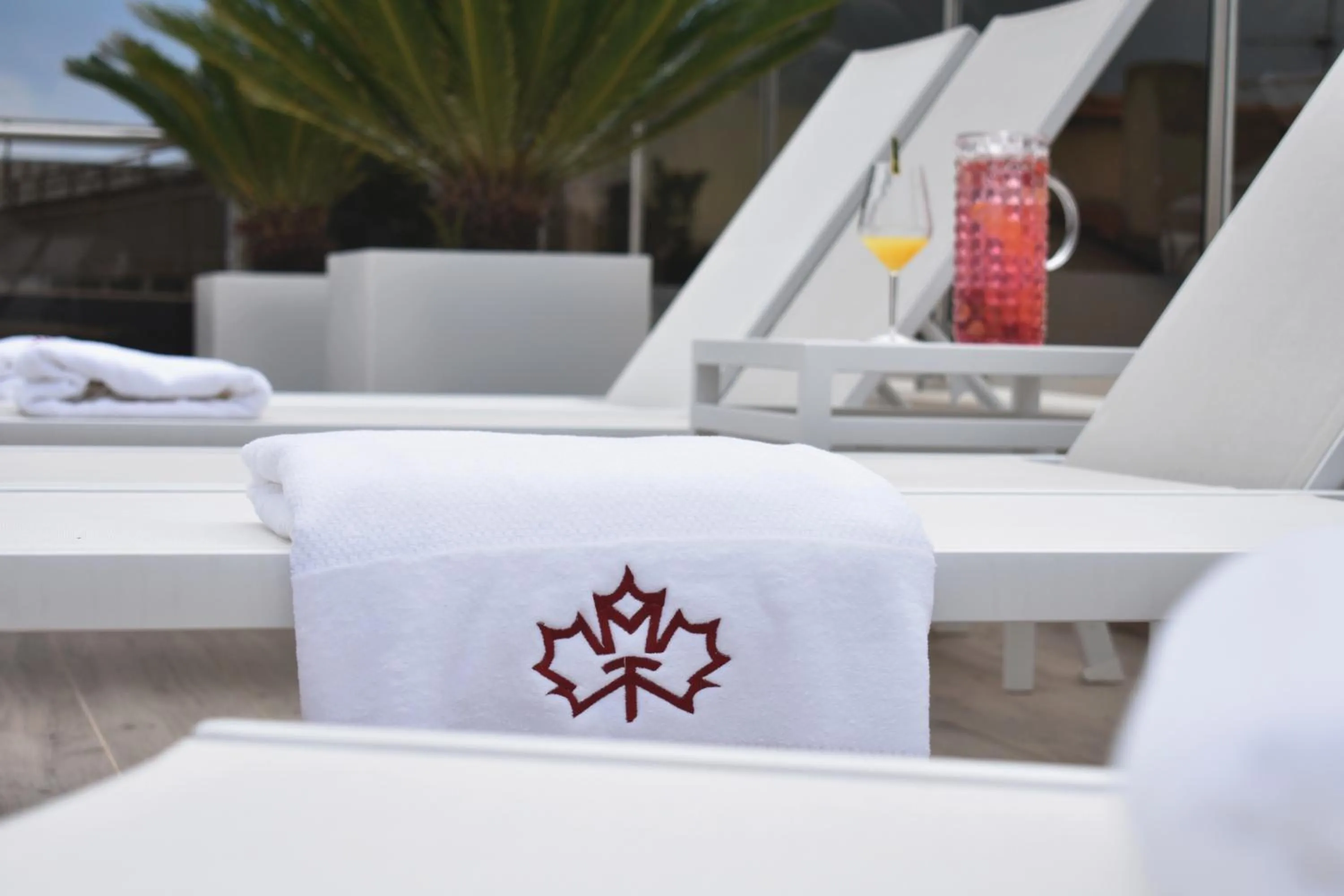 Solarium in Tenuta Micoli