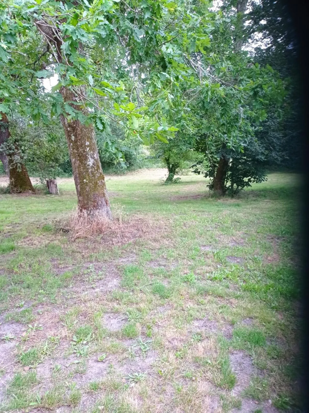 Garden in les chambres du pont des chèvres