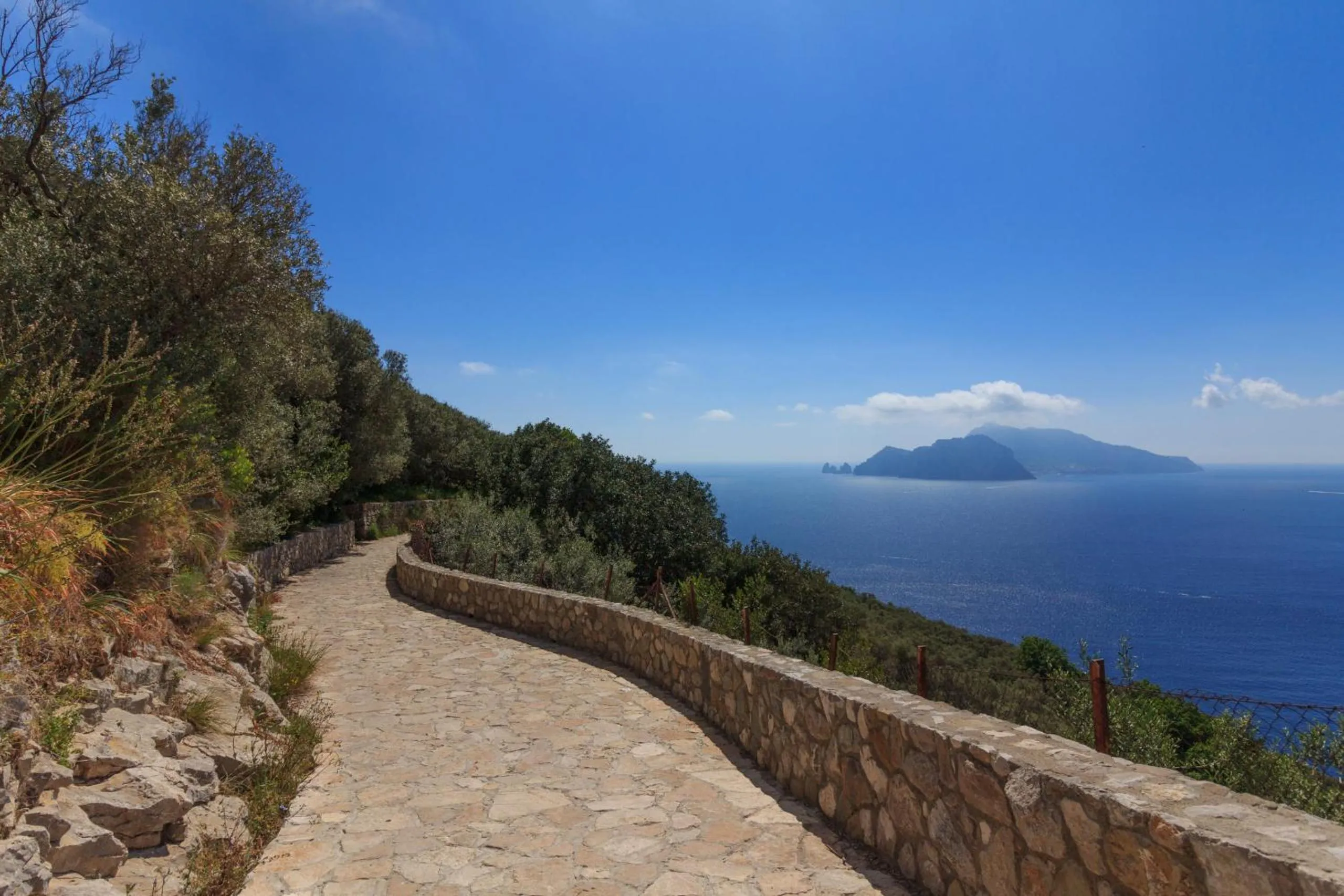 Natural landscape in Villa Mariel Suites & Apartment