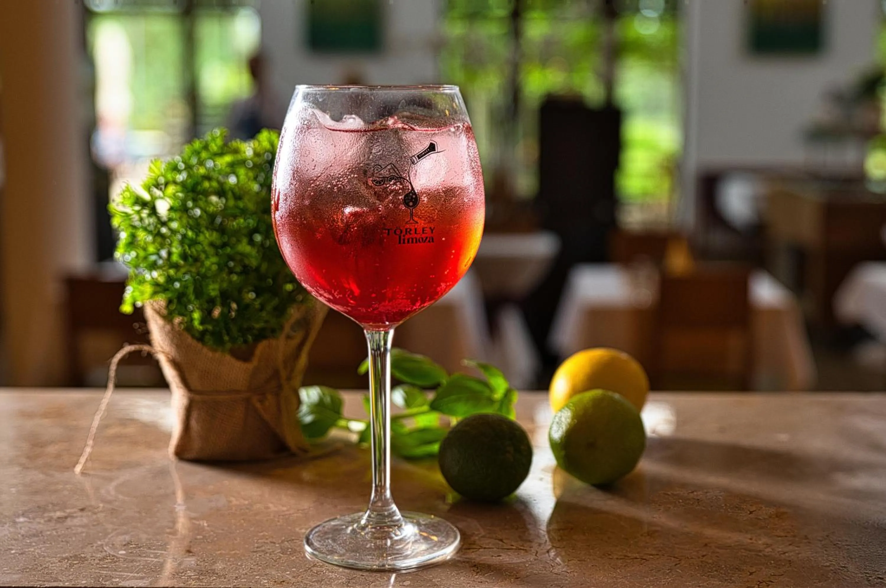 Alcoholic drinks in Tisza Balneum Hotel