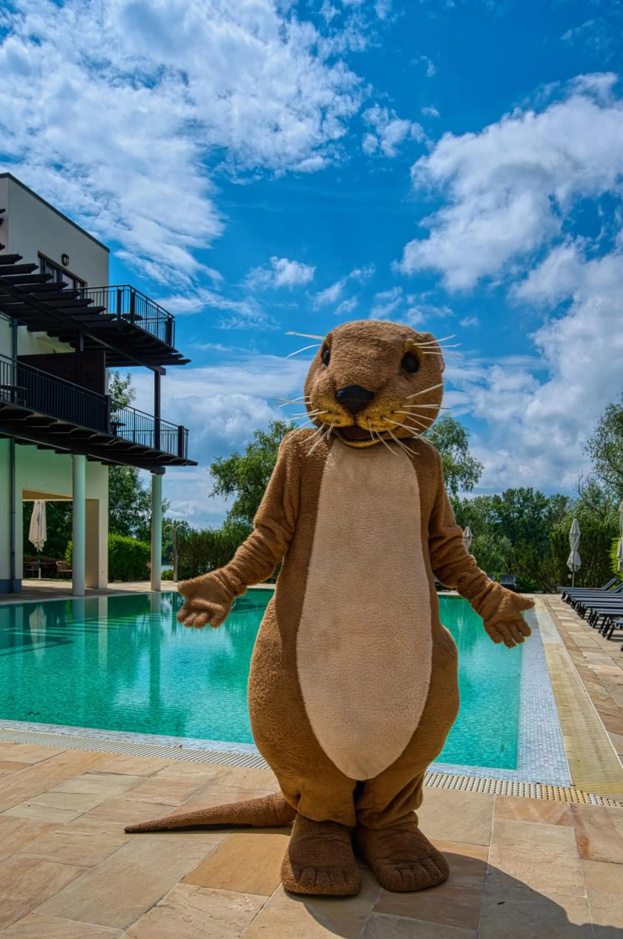 Swimming pool in Tisza Balneum Hotel