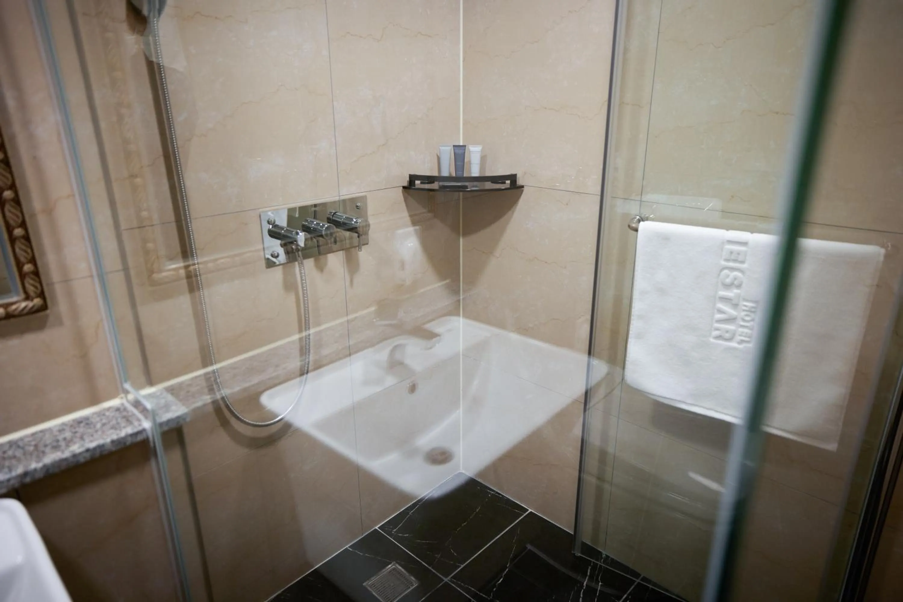 Toilet in Hotel The Star