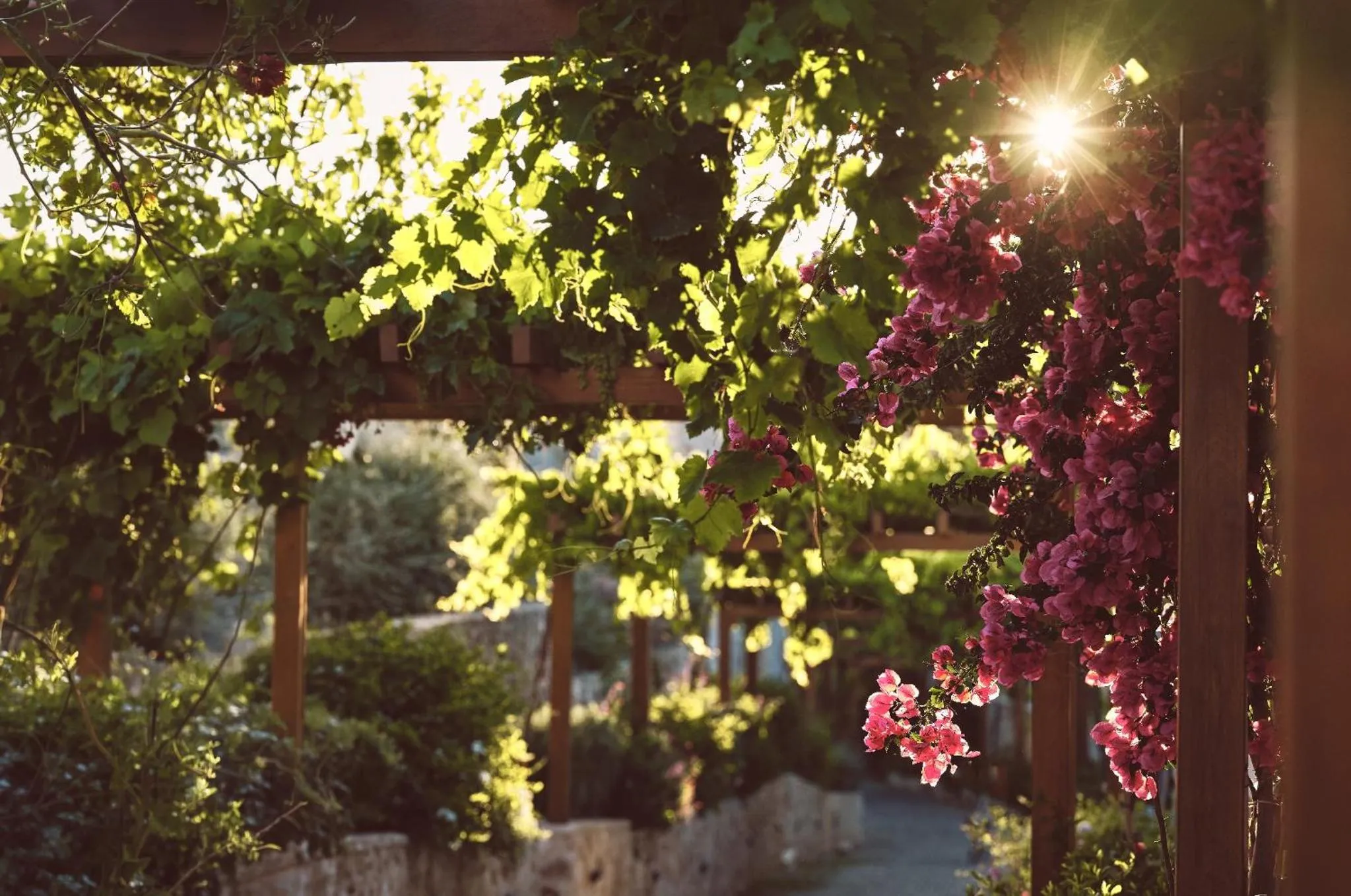 Garden in Lesante Cape - The Leading Hotels of the World