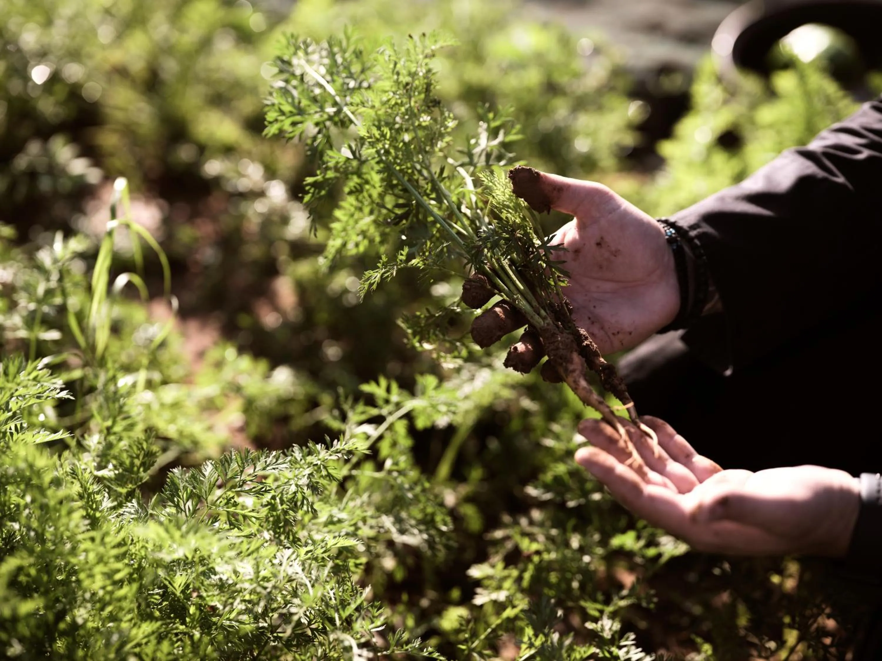 Natural landscape in Lesante Cape - The Leading Hotels of the World