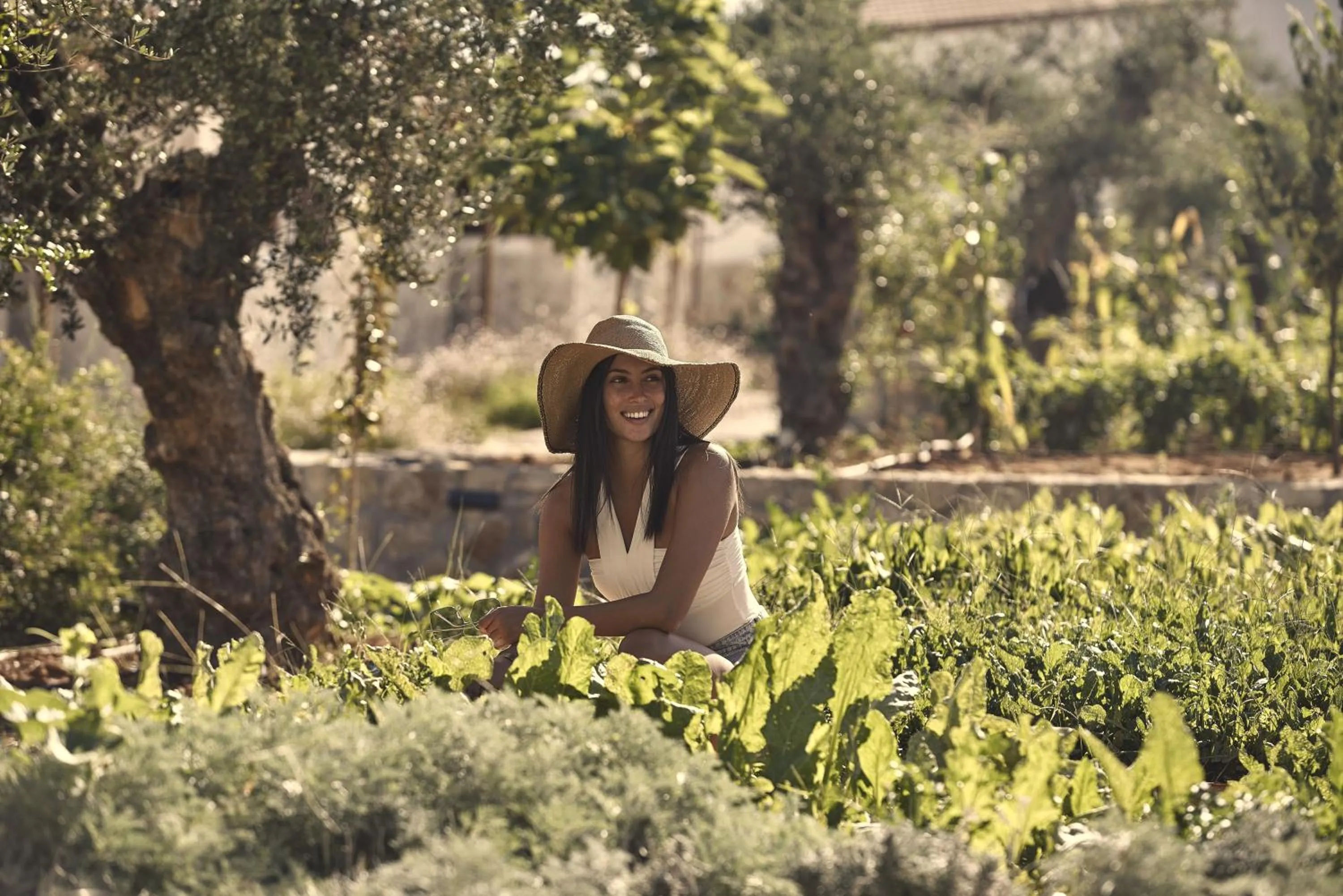 Natural landscape in Lesante Cape - The Leading Hotels of the World