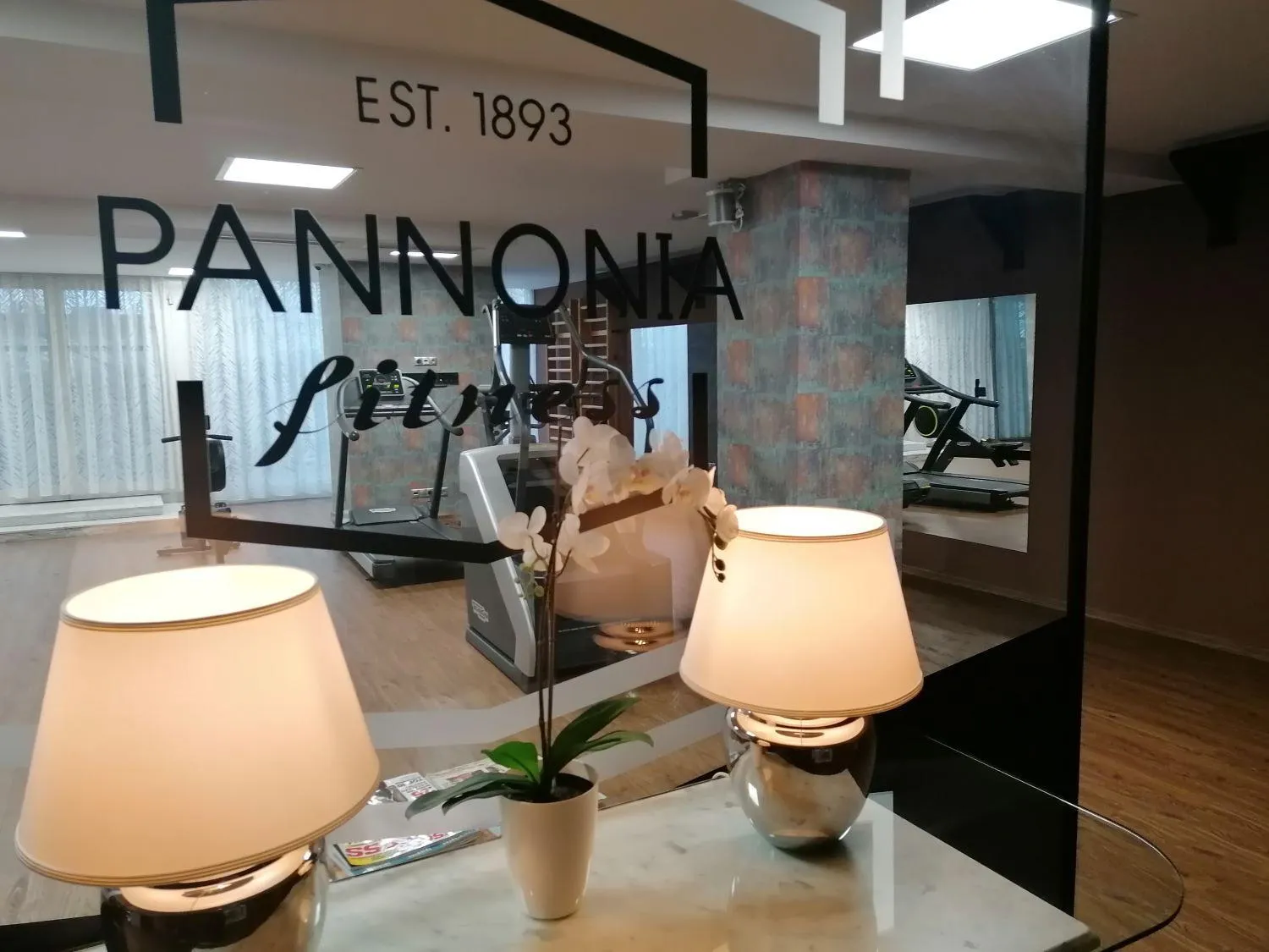 Fitness centre/facilities in Pannonia Hotel