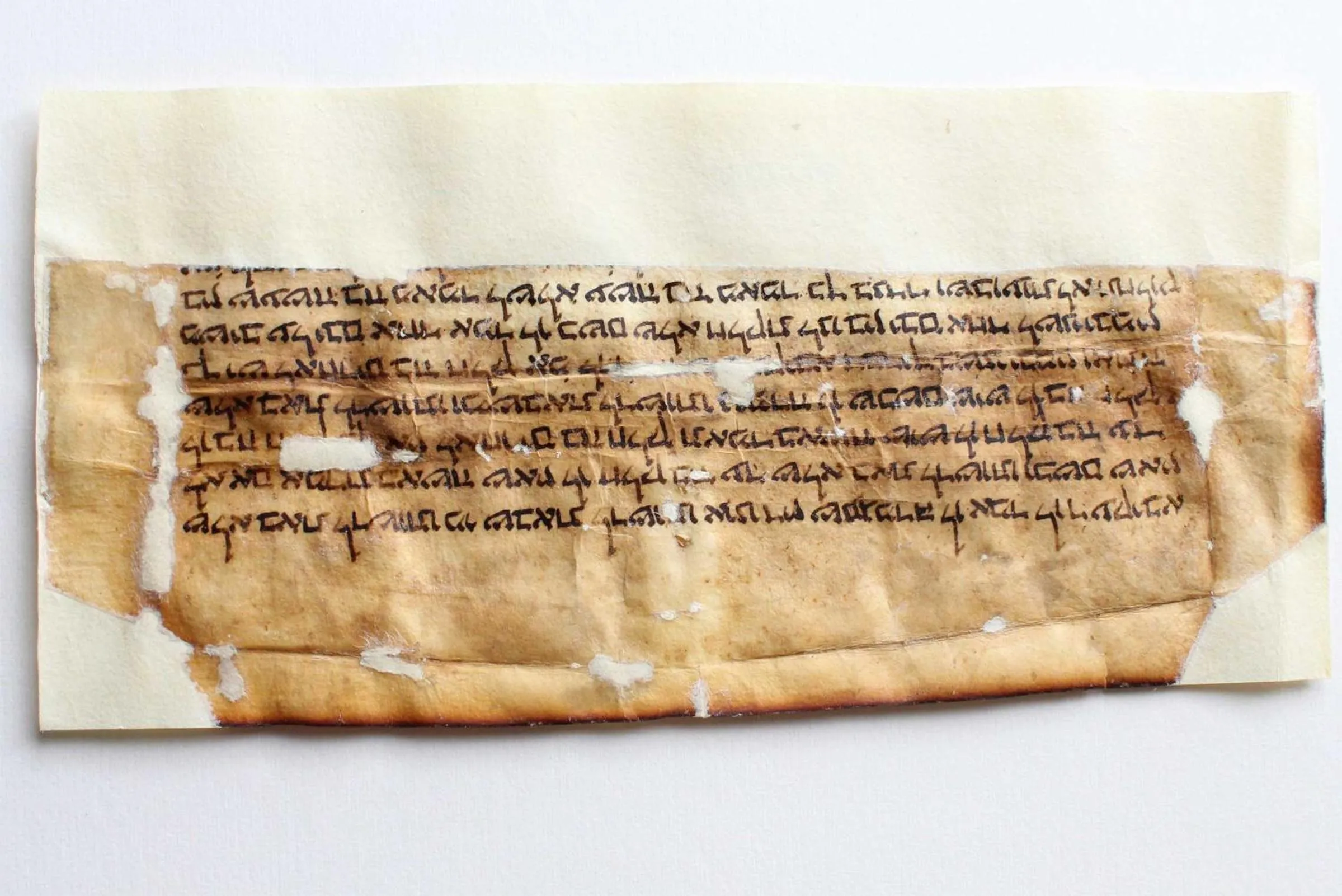 Nearby landmark in Albergo Benito