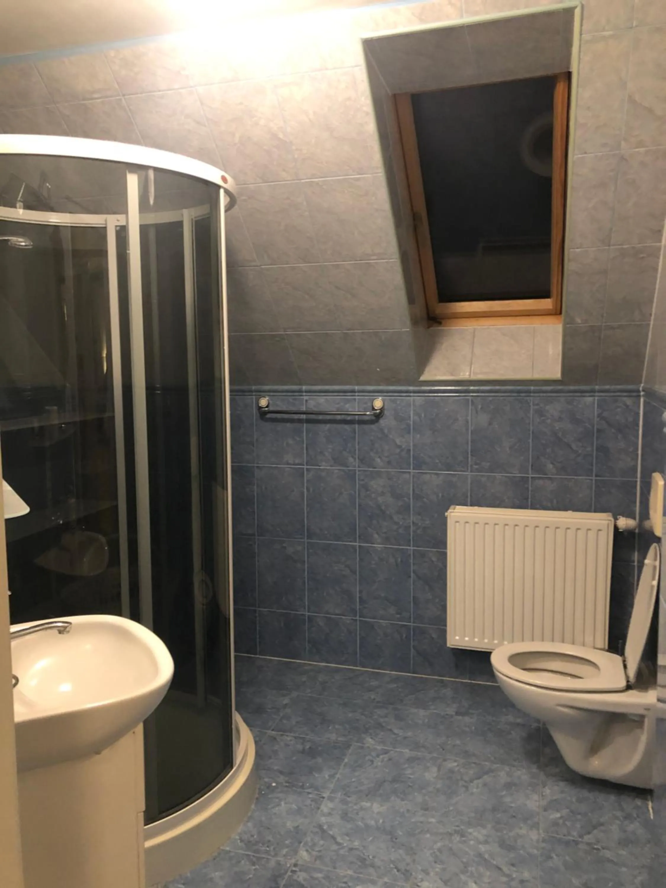 Toilet in Dom Pod Sosną