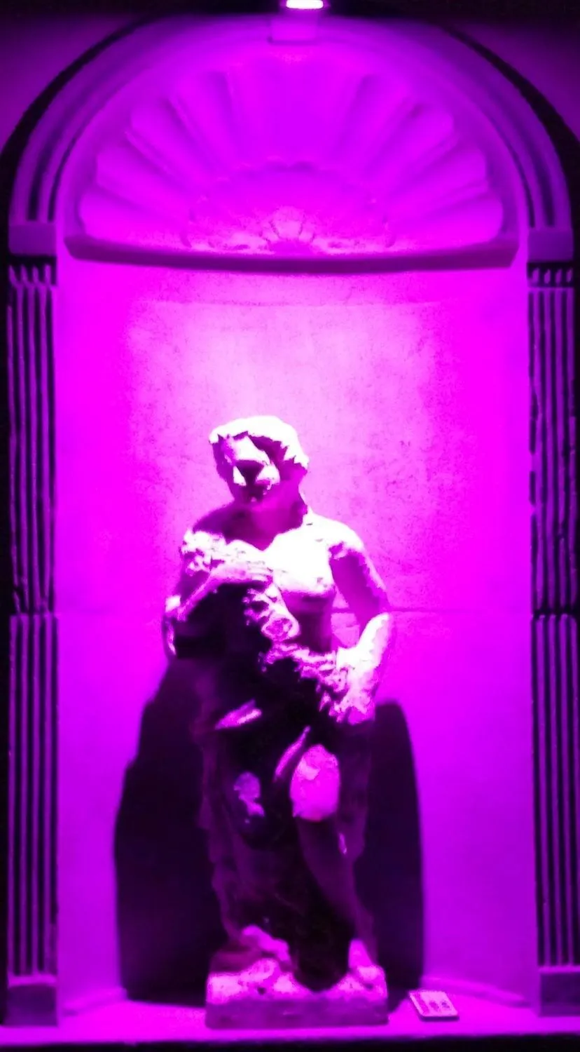 Decorative detail in Rok Plaza