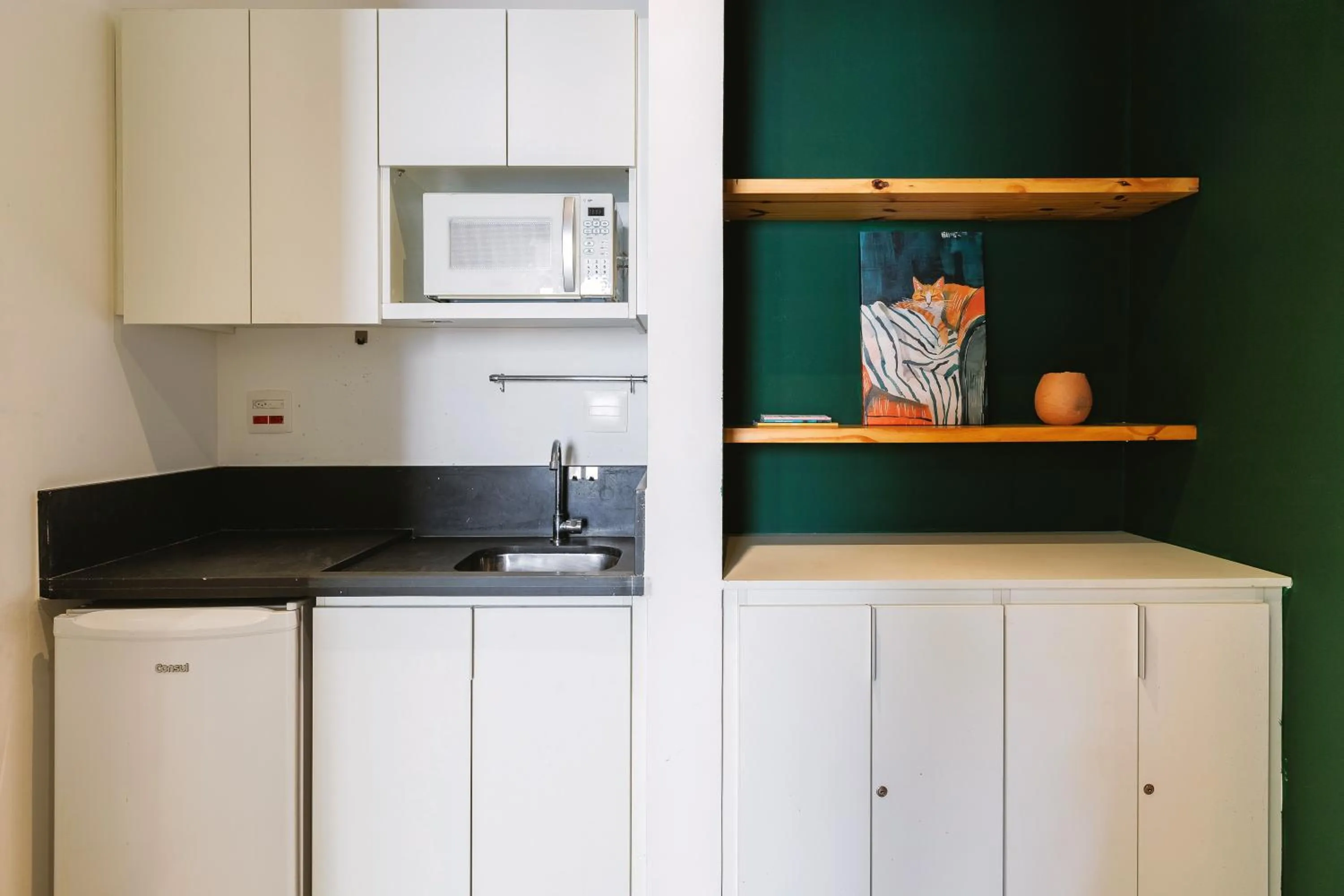 Kitchen or kitchenette in Hotel Centro 433