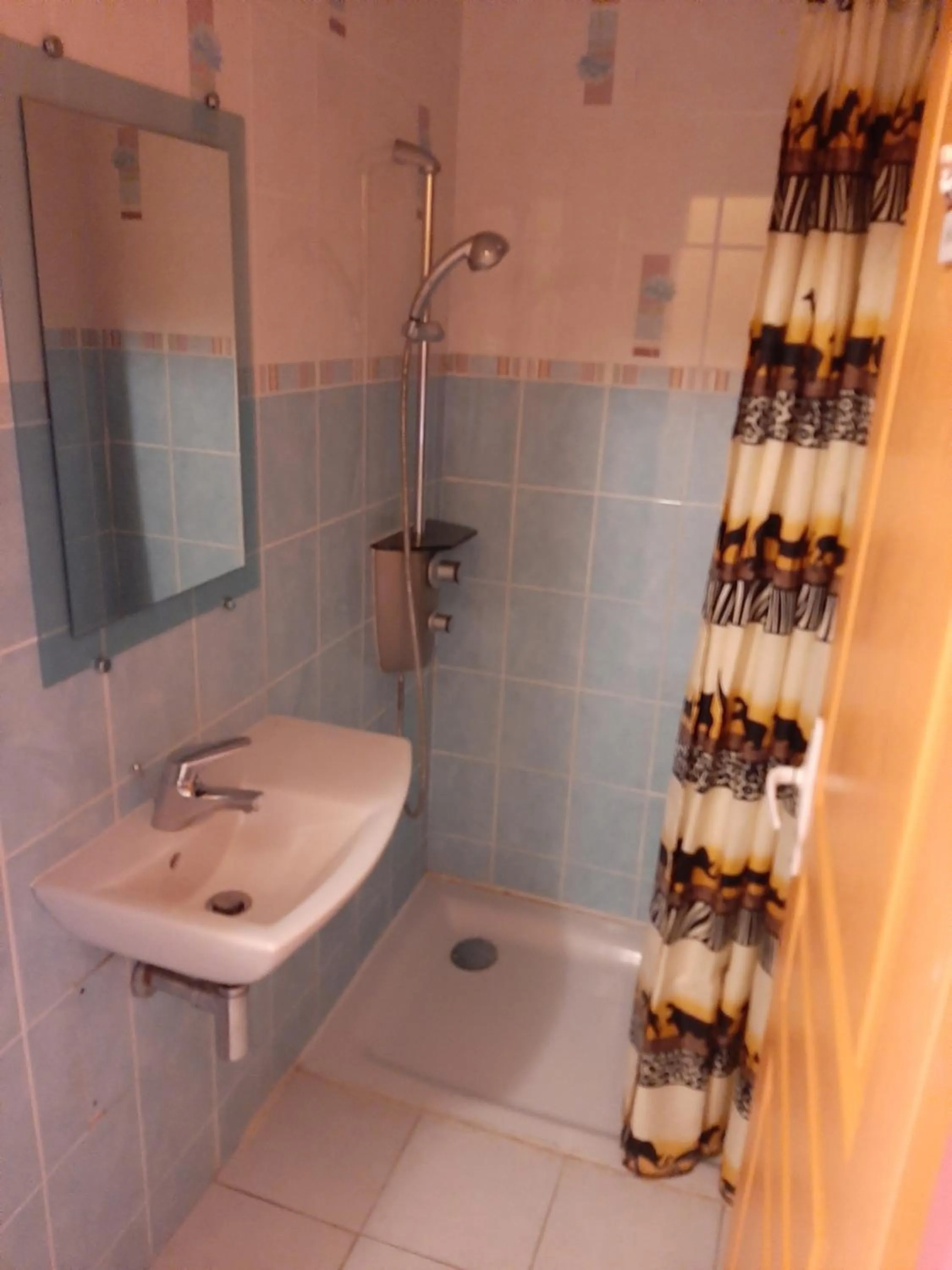 Shower in GITE AUBERGE EDELWEISS