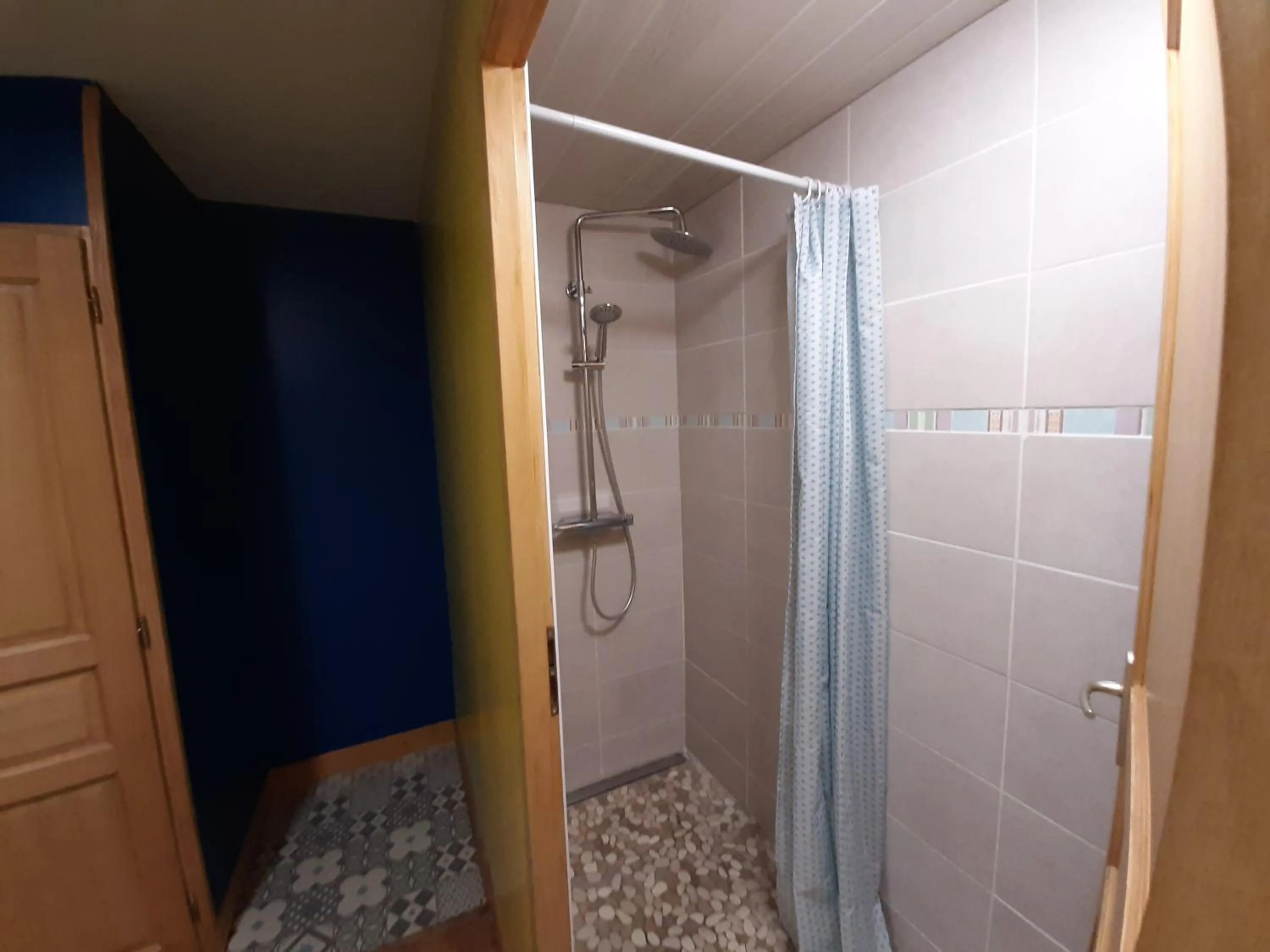 Shower in GITE AUBERGE EDELWEISS