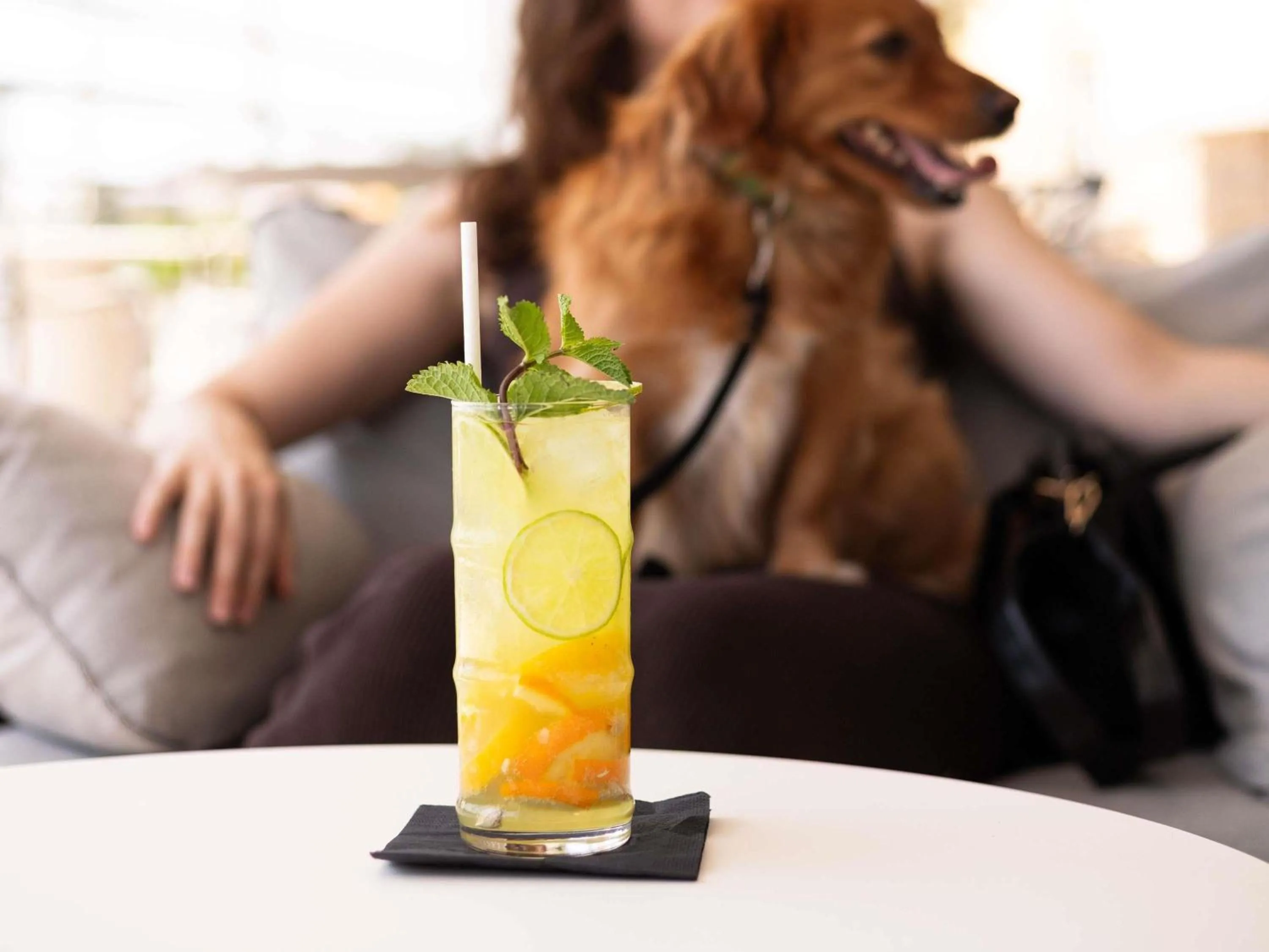 Other in Novotel Szeged