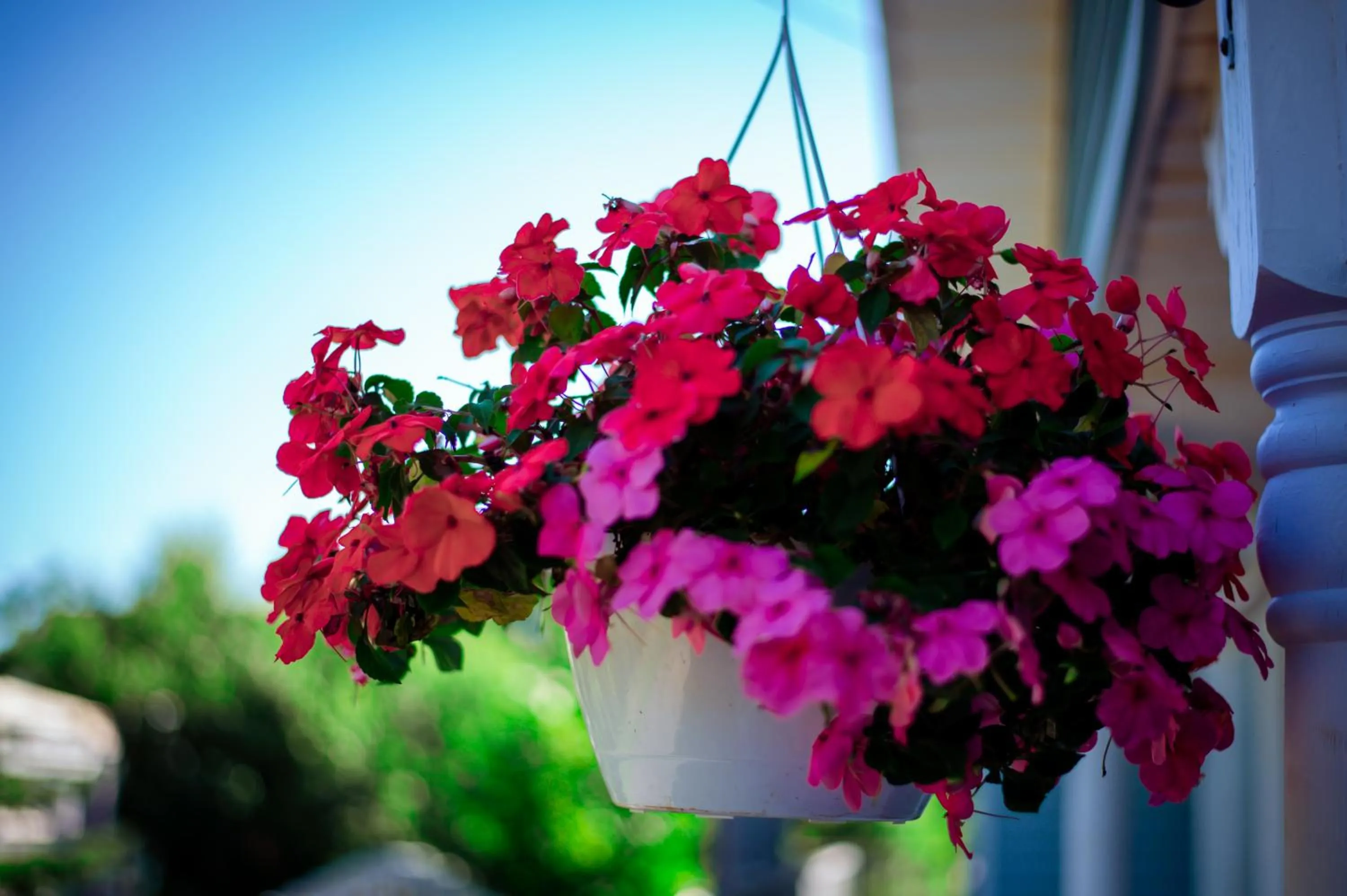 Property building in Lee's Ocean Peek B & B