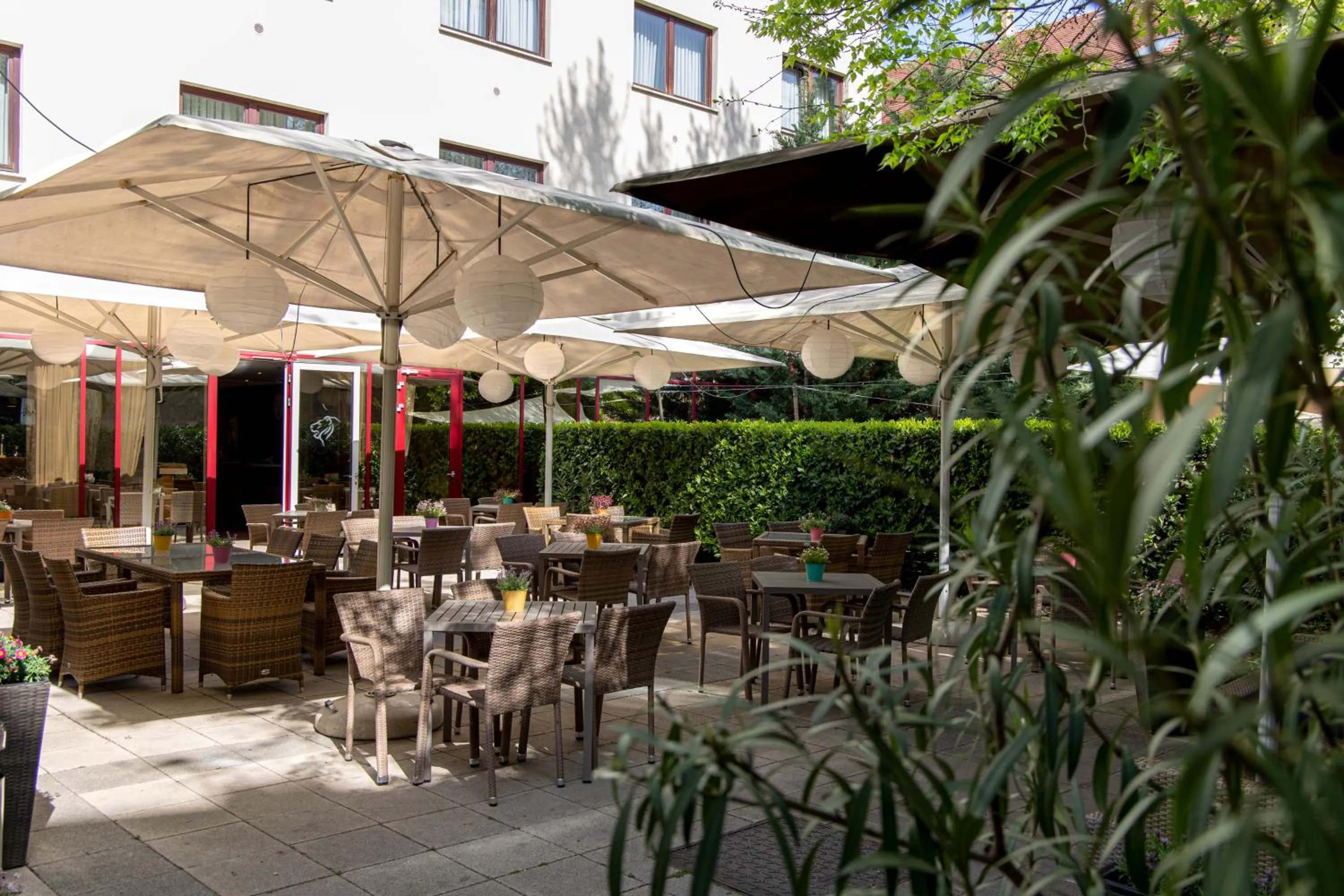 Garden in Lion's Garden Hotel