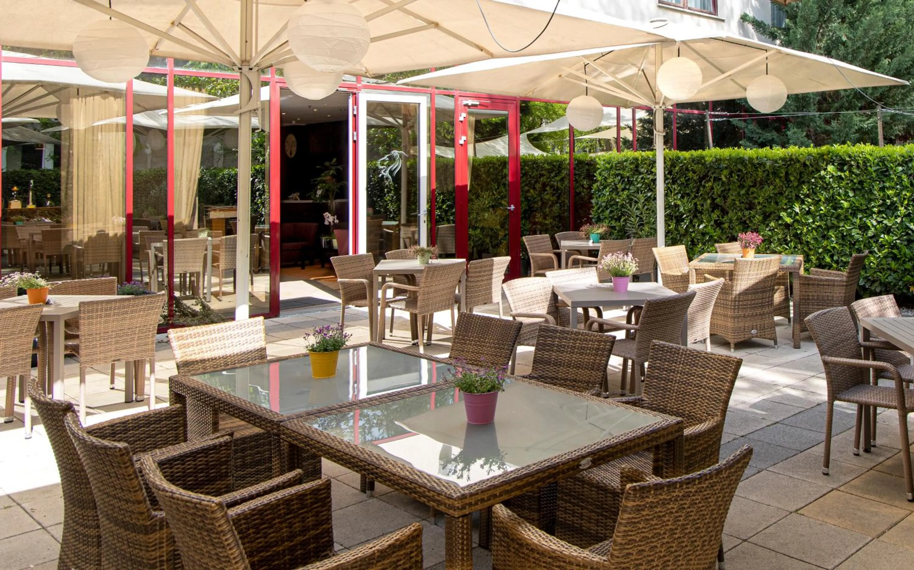 Garden in Lion's Garden Hotel