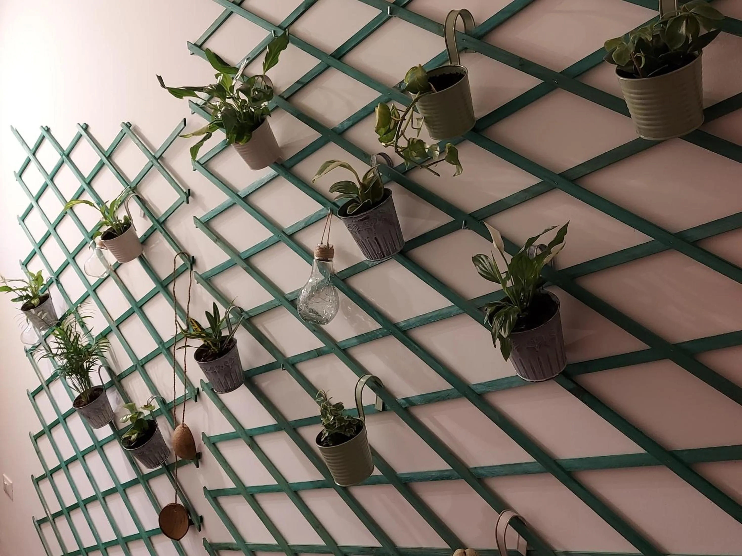 Patio in Guesthouse Calvart25