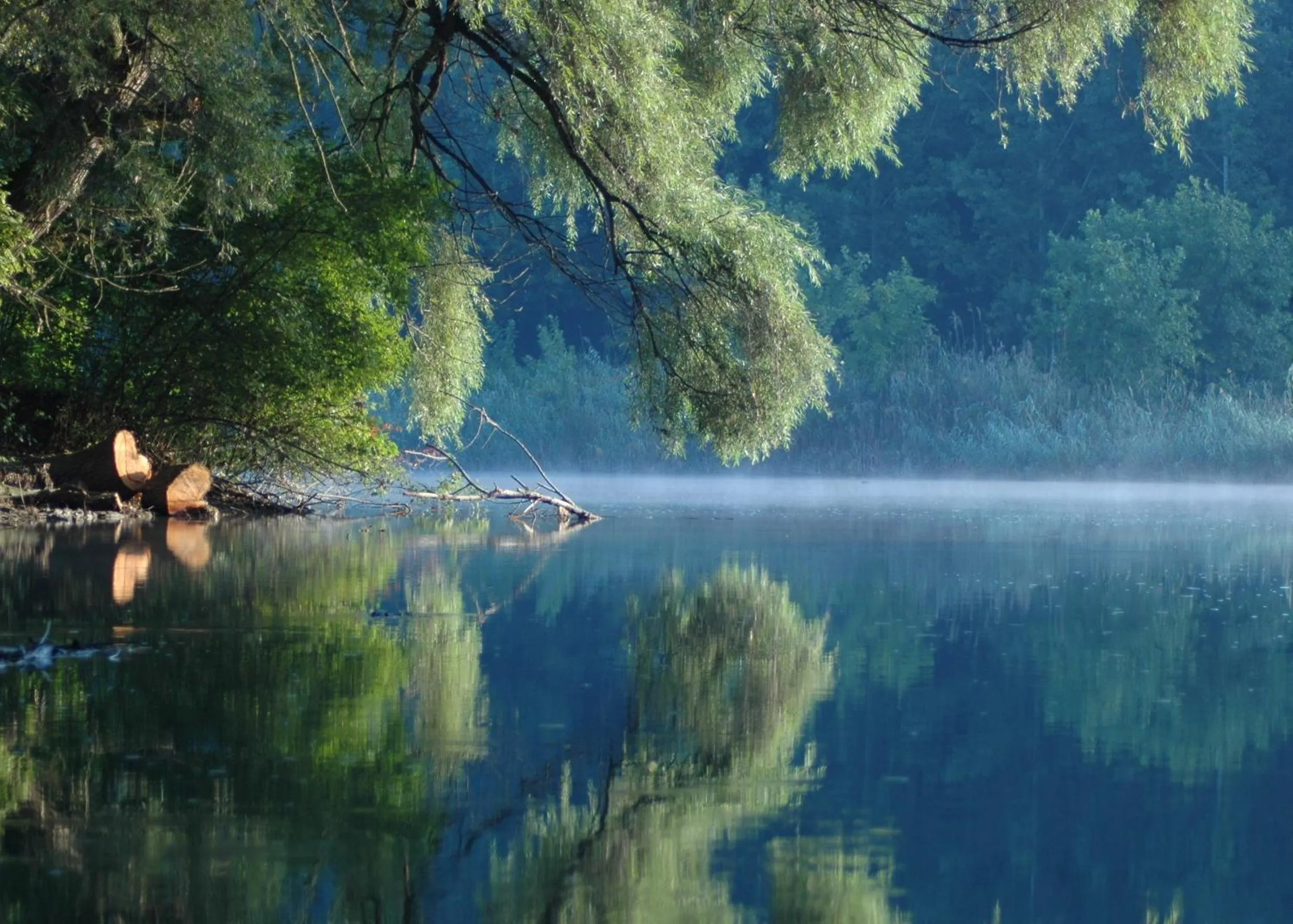 Area and facilities in Aqua Hotel Termál