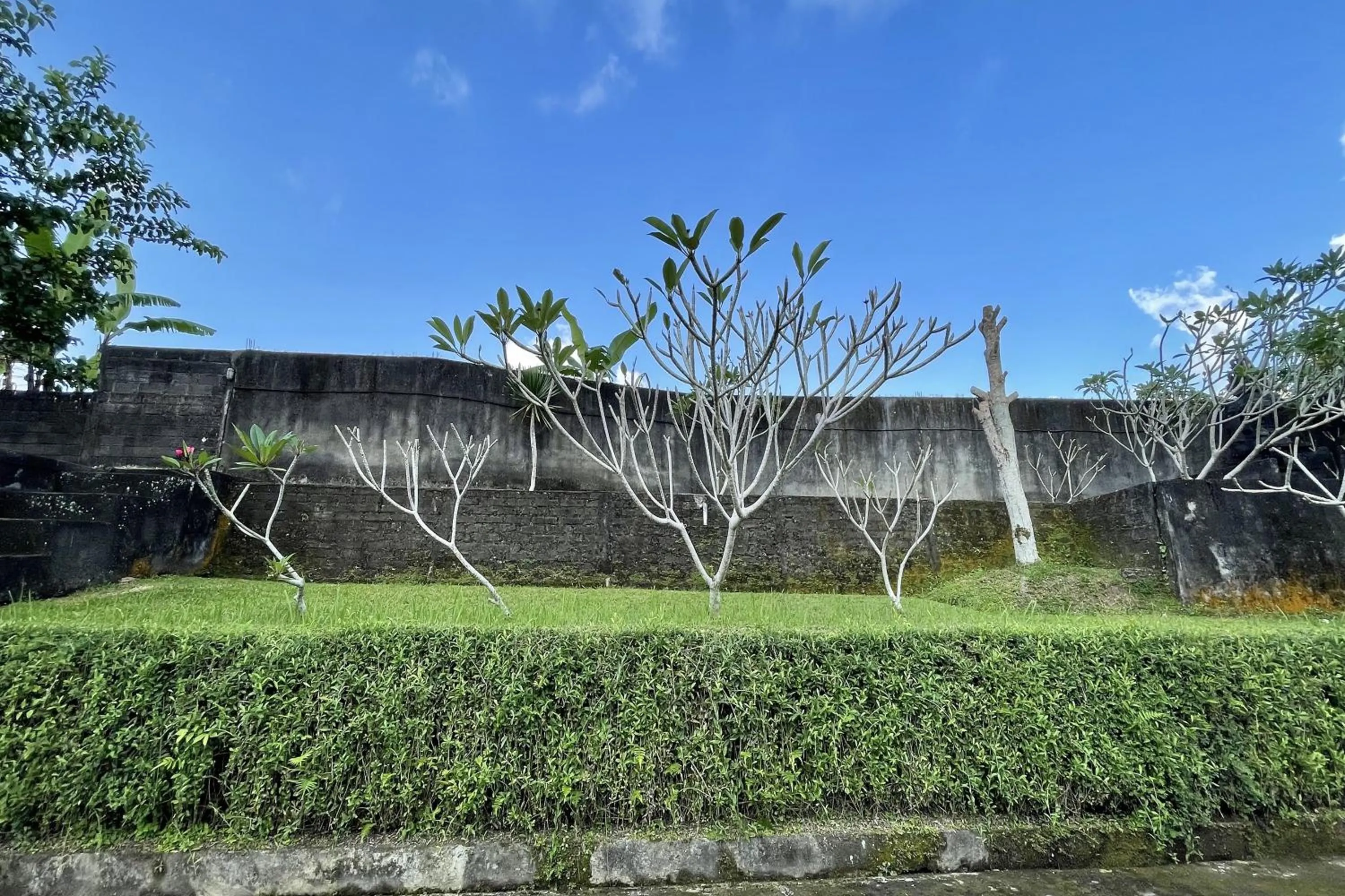 Garden view in Mongan Homestay Beside The Belulang Hot Spring