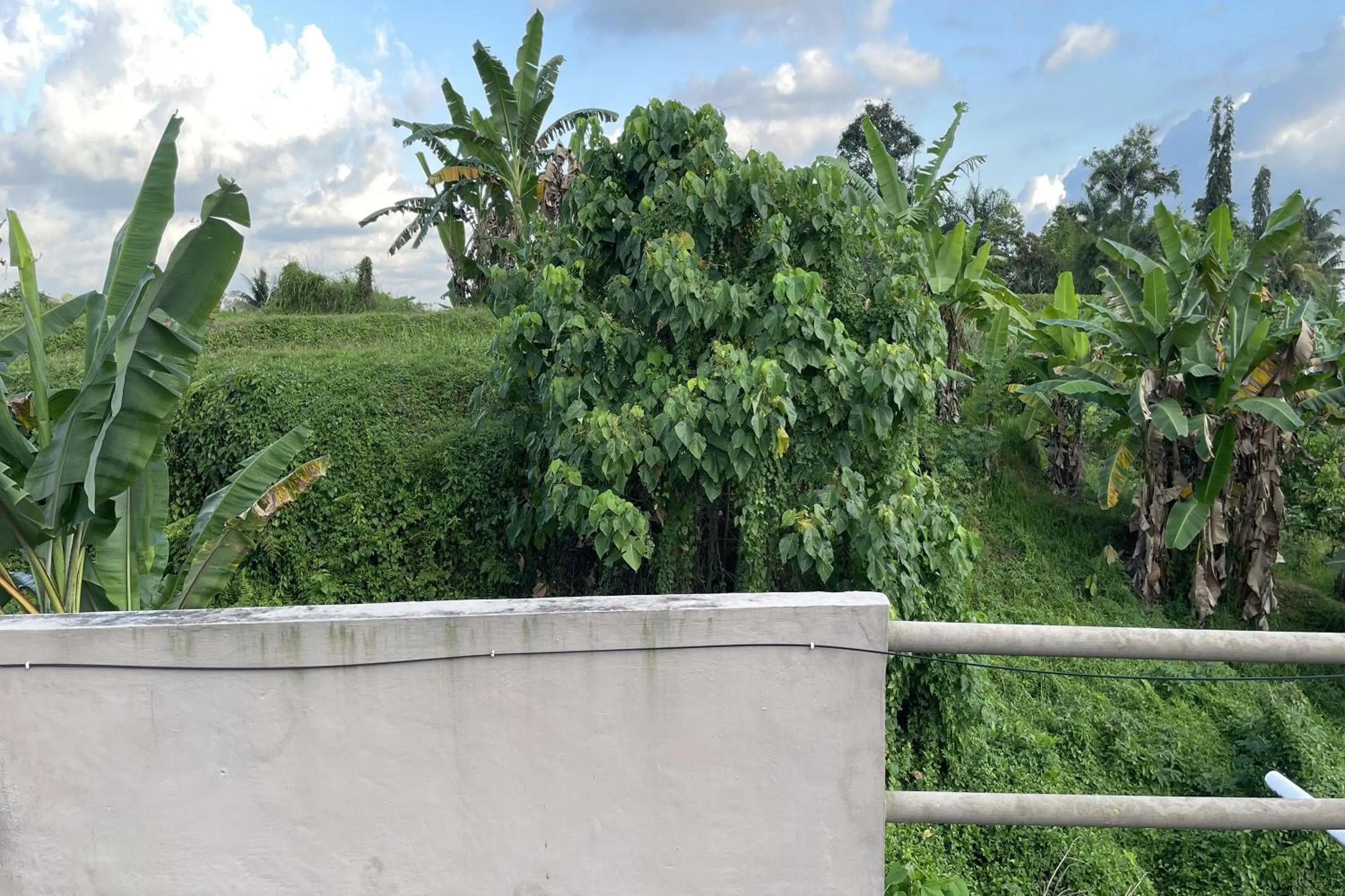 Garden view in Mongan Homestay Beside The Belulang Hot Spring