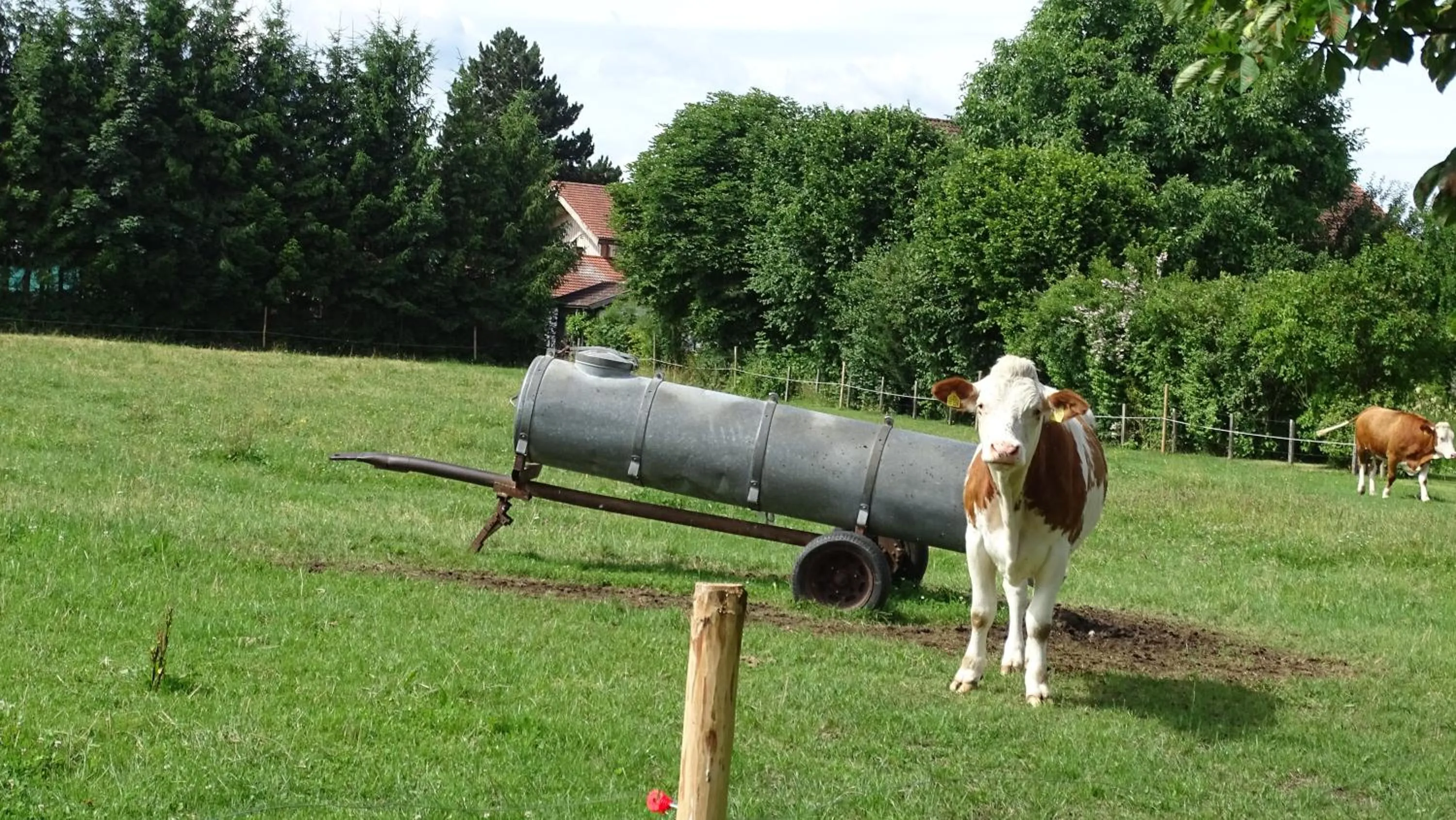 Garden in Heufelder Hof