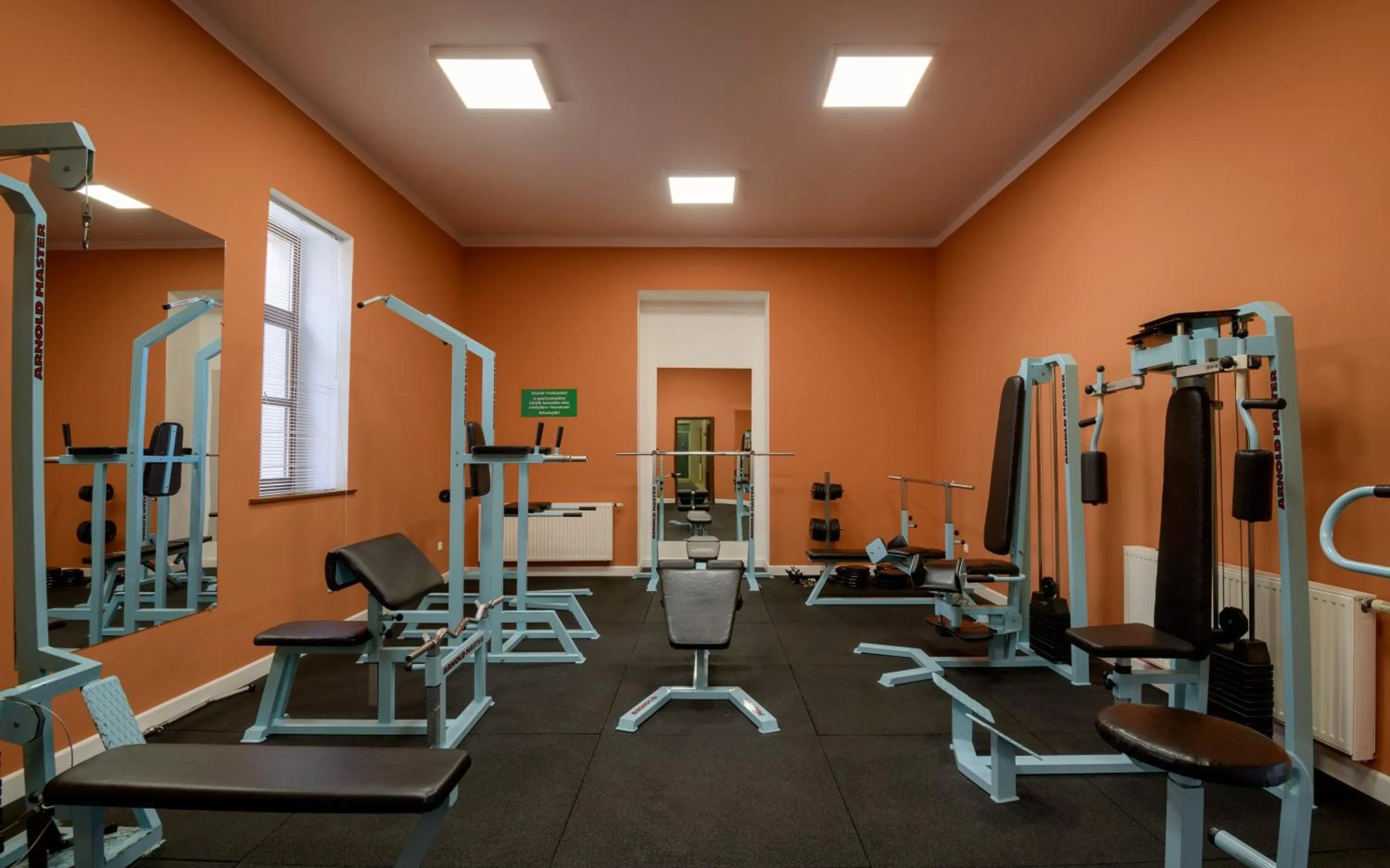 Fitness centre/facilities in Erzsébet Park Hotel