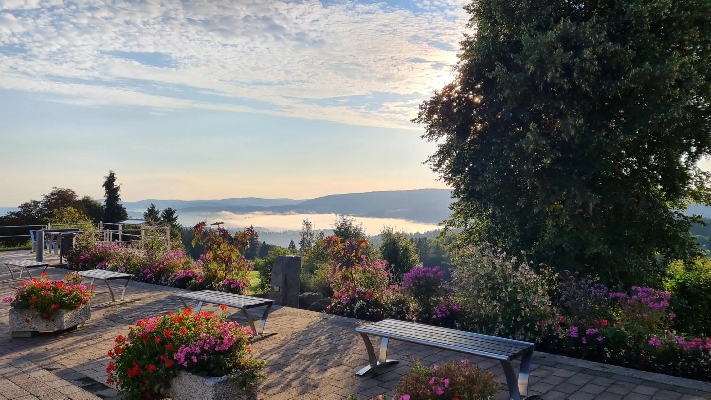 View (from property/room) in Pension Breitenborn