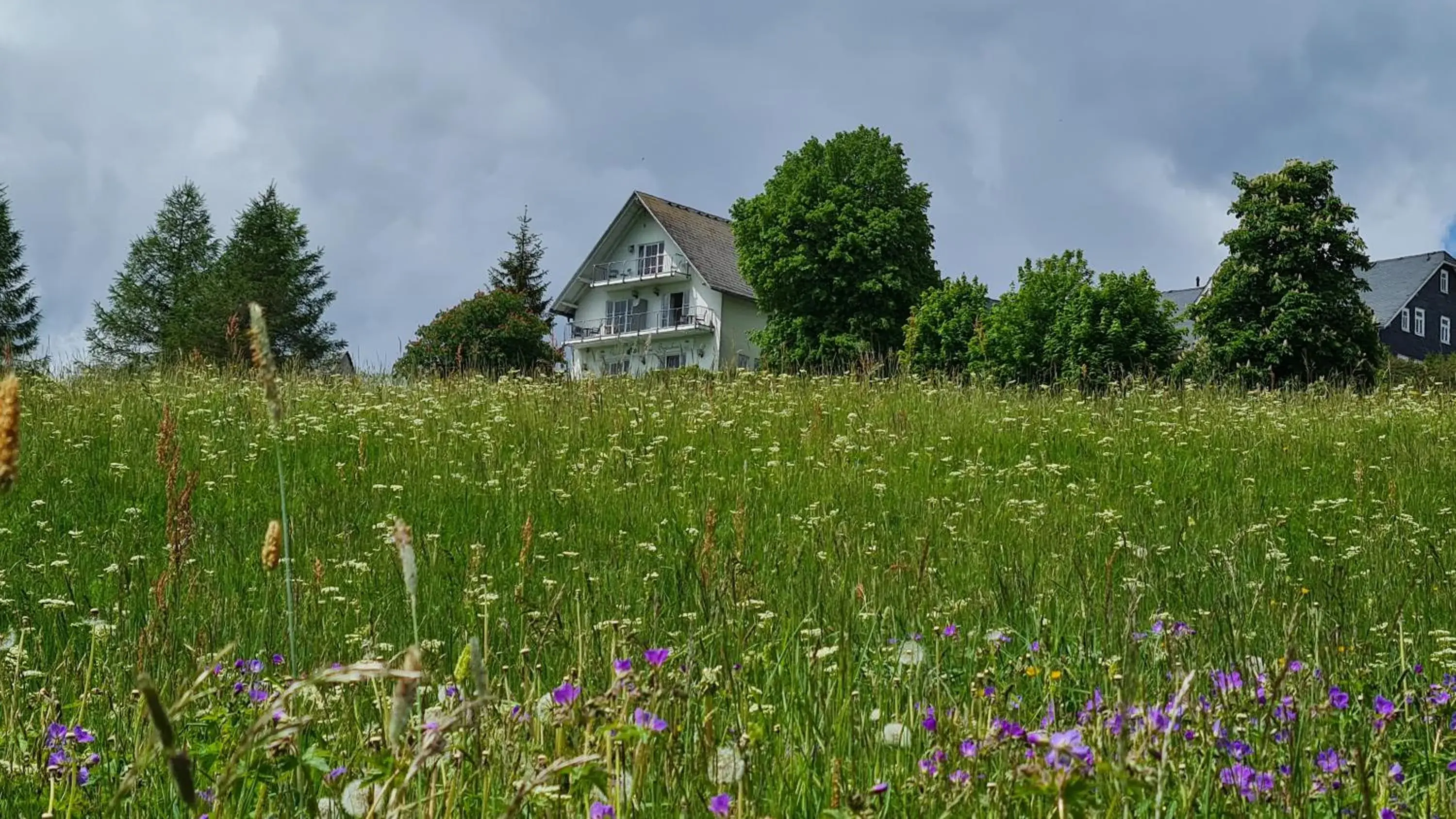 Property building in Pension Breitenborn Property building in Pension Breitenborn