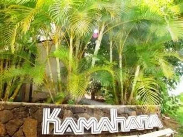 Kamahana 24