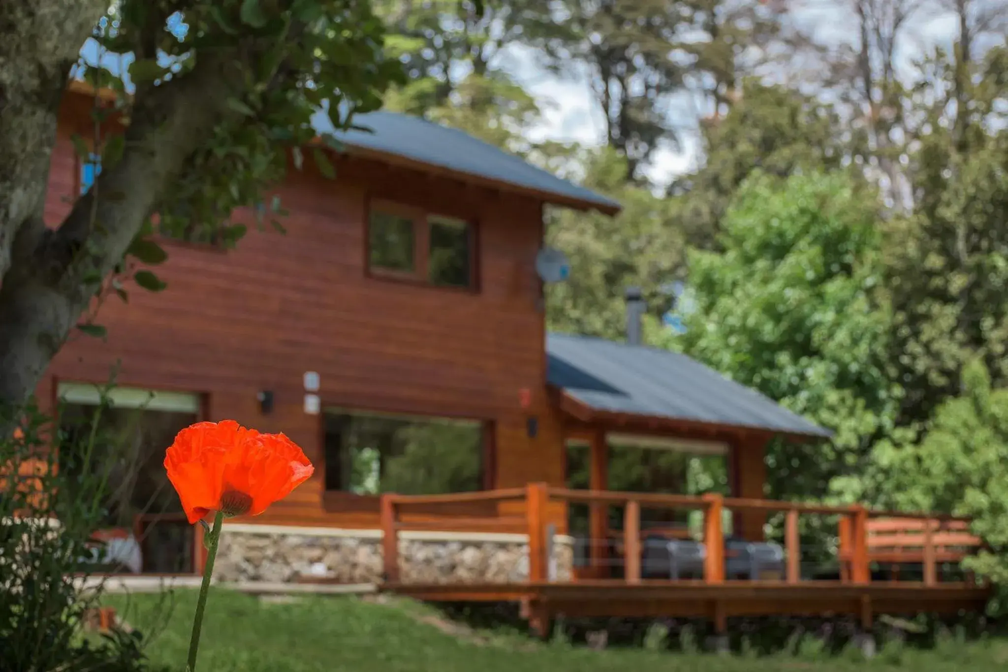 Property building in Solar Selvana - Casas de montaña Property building in Solar Selvana - Casas de montaña