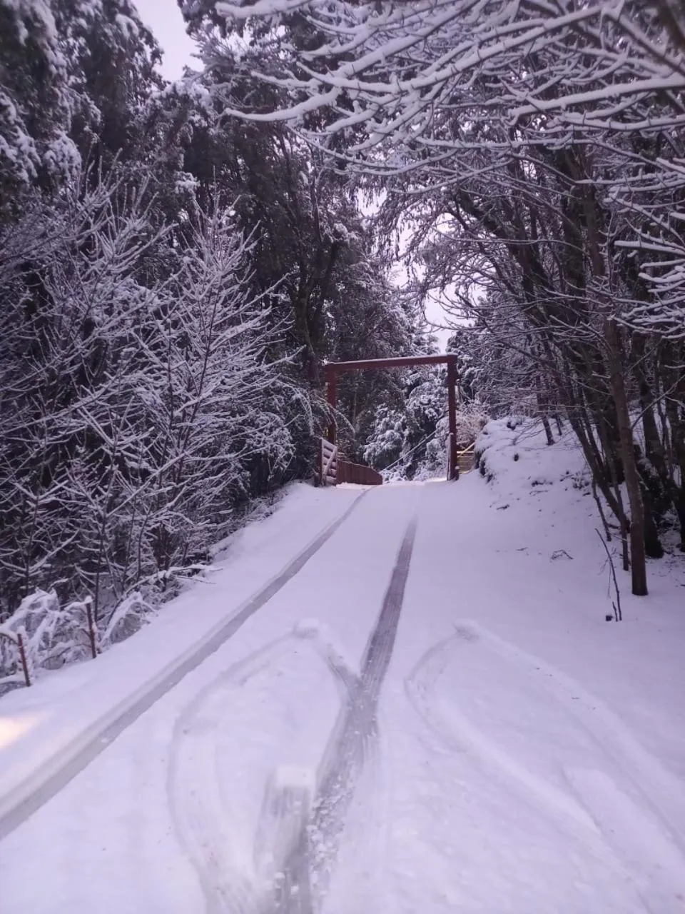 Winter in Solar Selvana - Casas de montaña