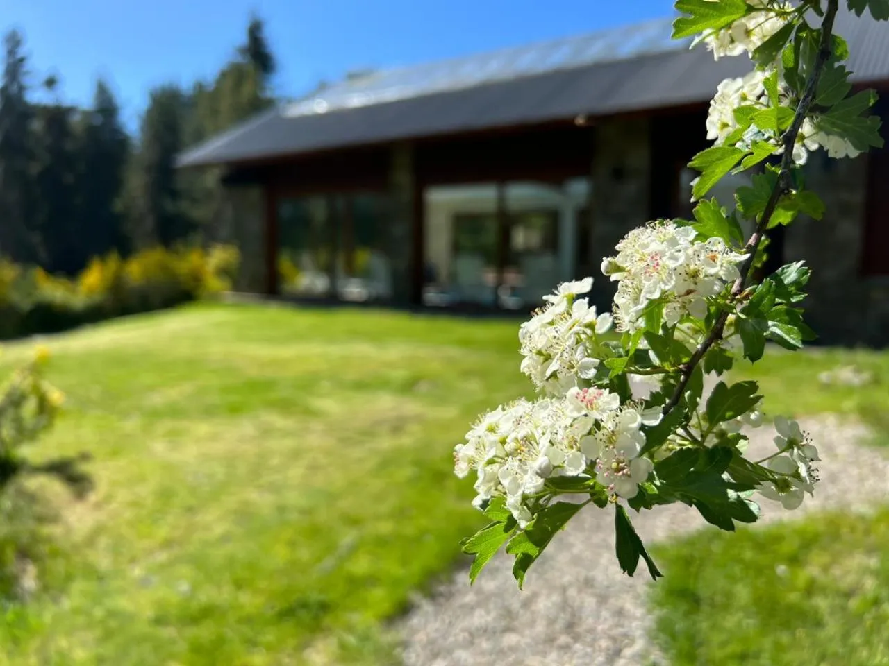 Spring in Solar Selvana - Casas de montaña