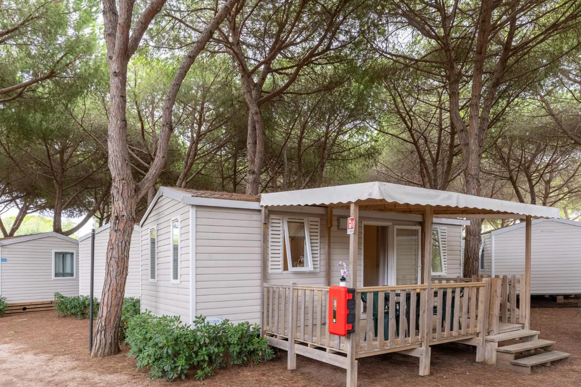 Property building in Club del Sole Orbetello Family Collection