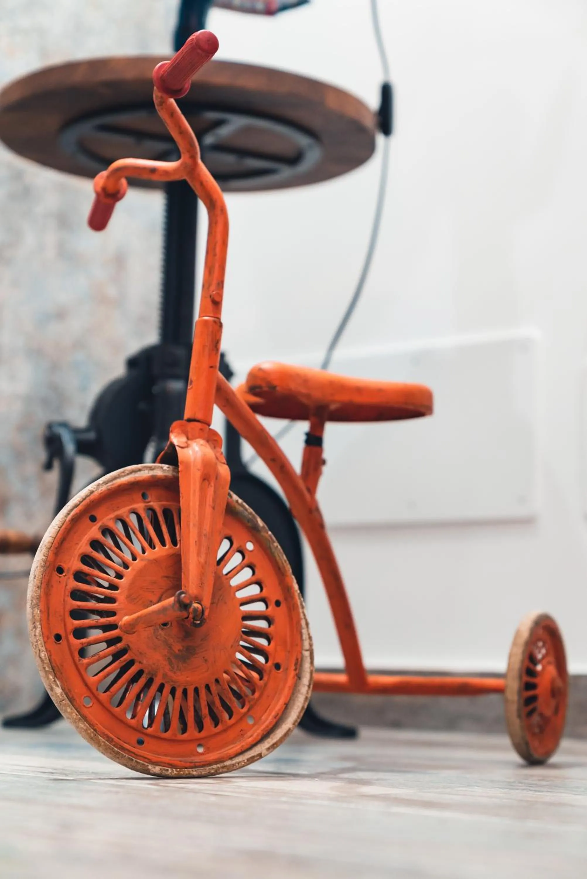 Decorative detail in macchia mediterranea