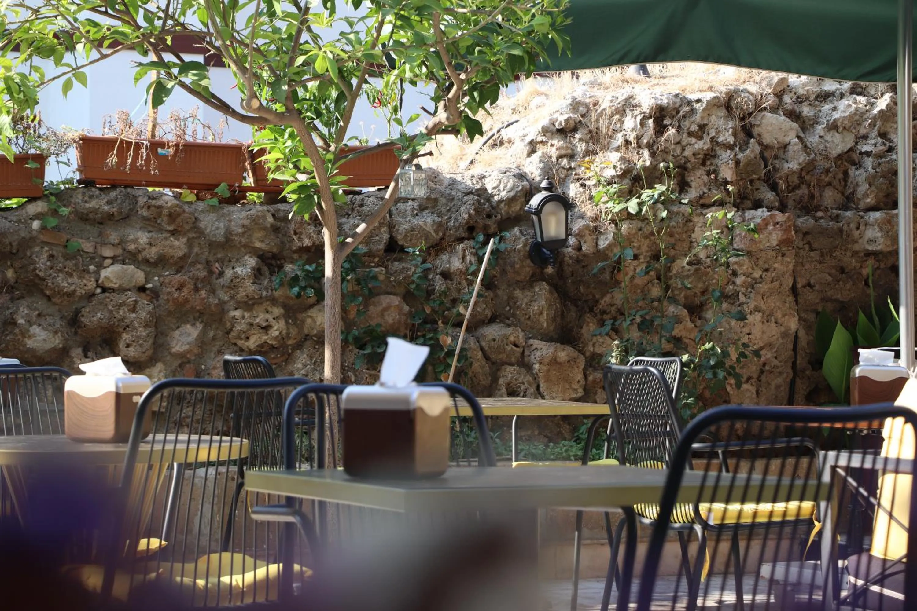 Restaurant/places to eat in Tu Casa Linda