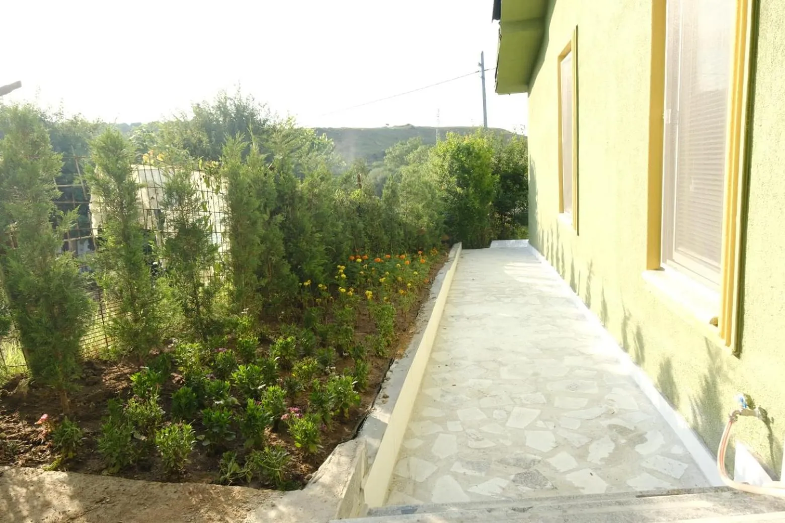 Garden in FOREST BLUE BEACH OTEL