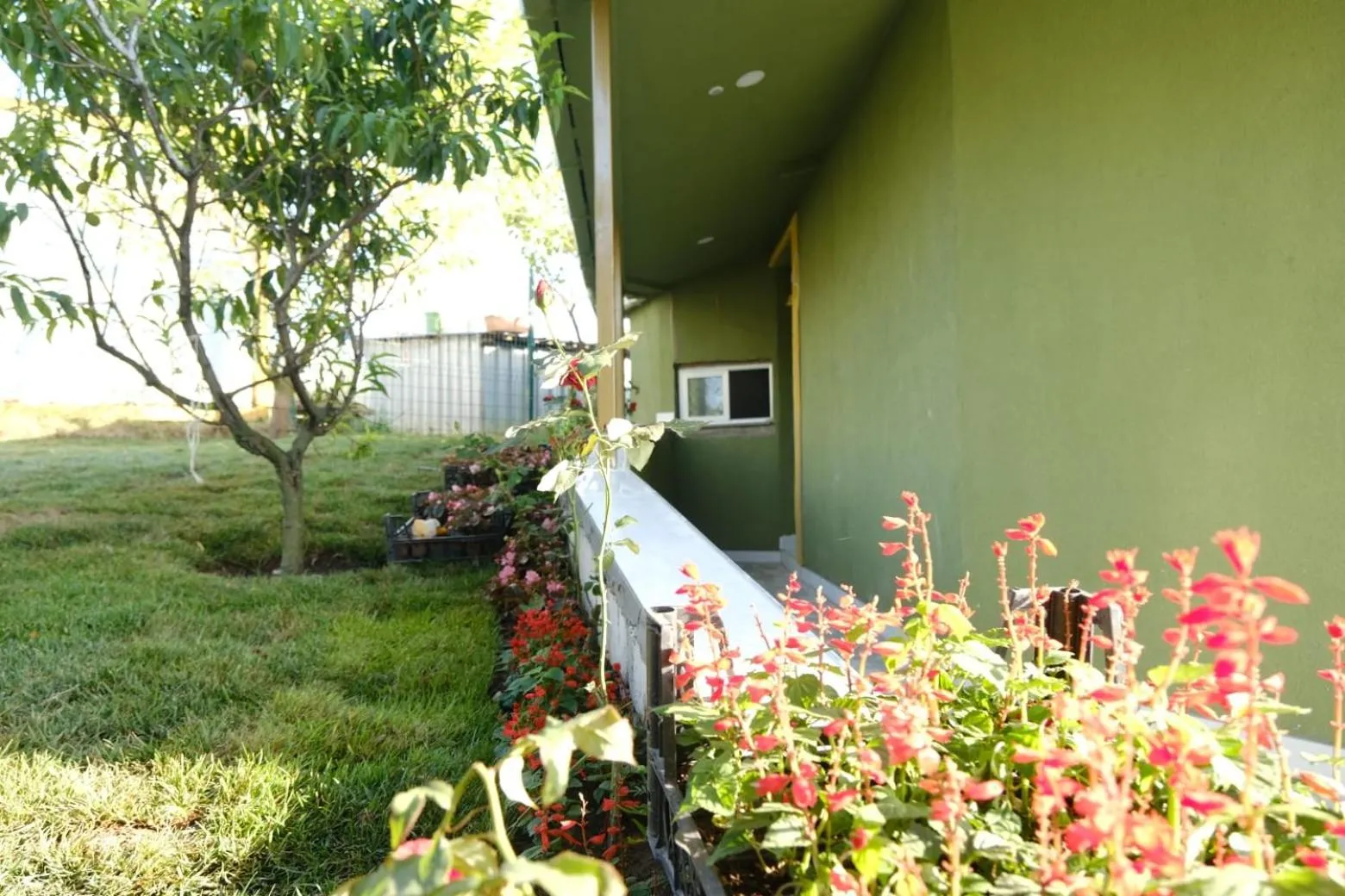 Garden in FOREST BLUE BEACH OTEL