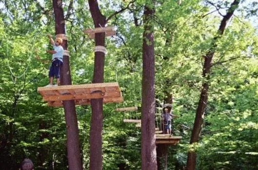 Area and facilities in Hotel Szeleta