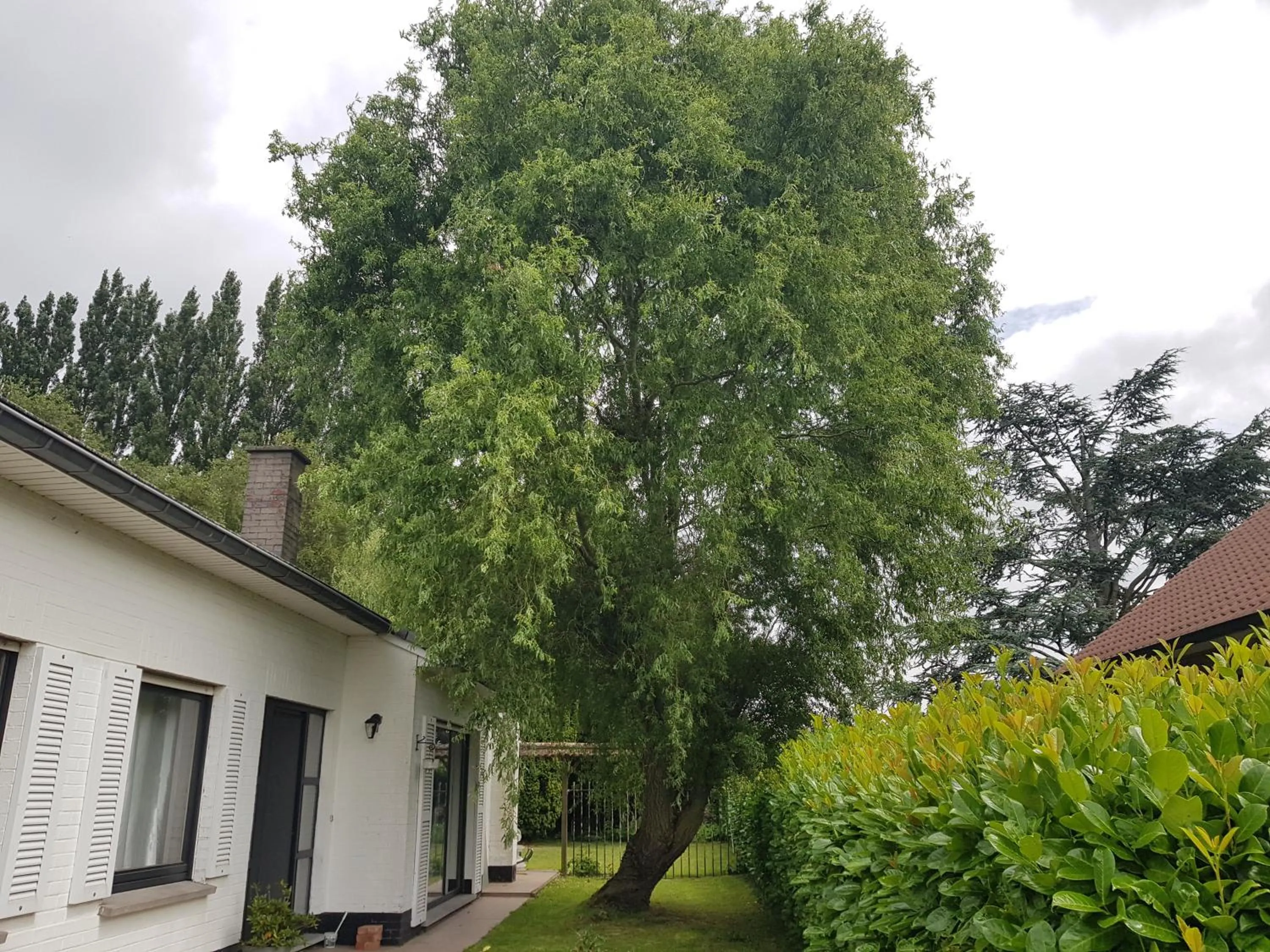 Property building in Mary's Poppies - Bed & Breakfast